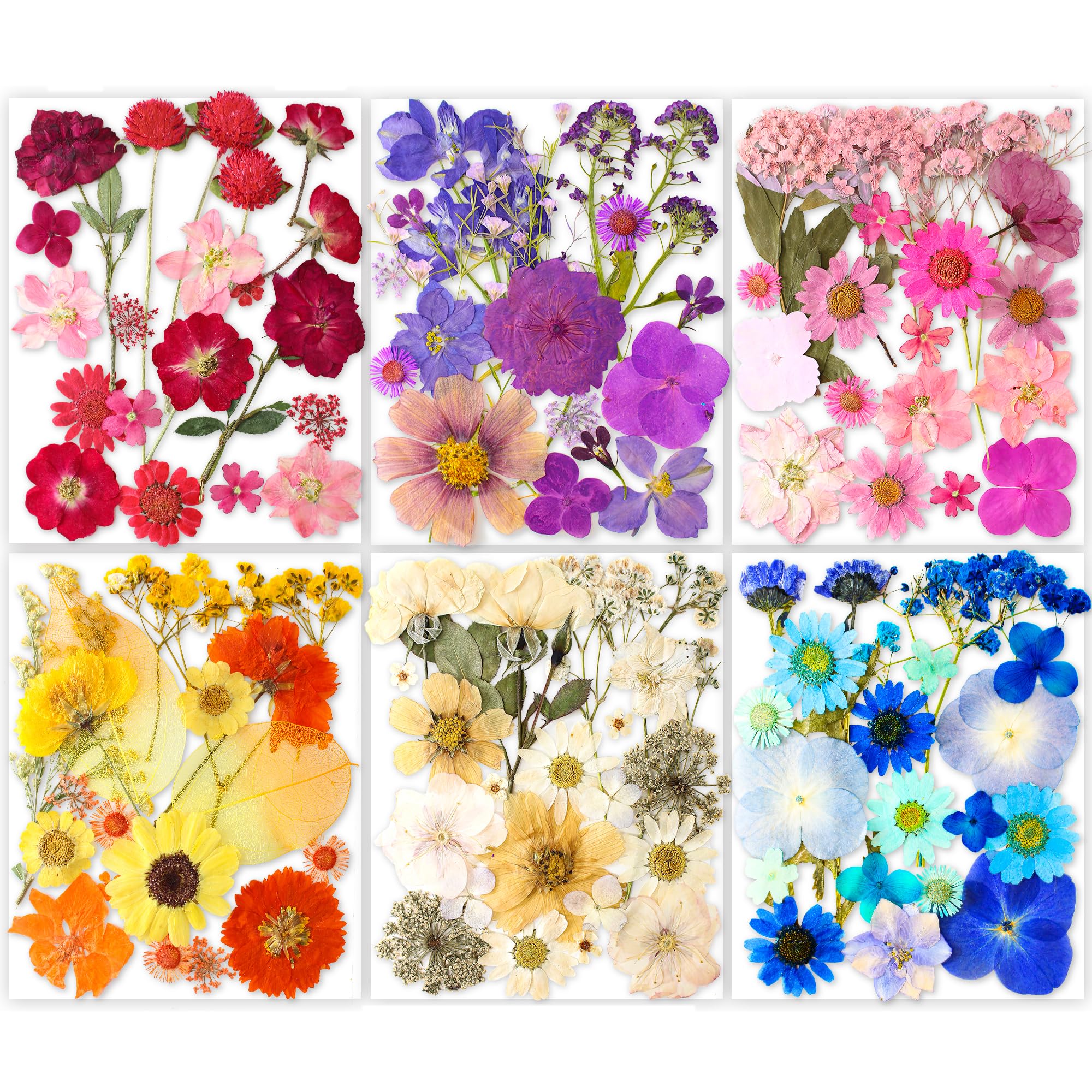 96PCS Vintage White Dried Pressed Flowers for Resin Craft - YouthBro Real Nature Flowers Set with 50 PCS Butterfly Stickers for DIY Scrapbook Art Floral Decors