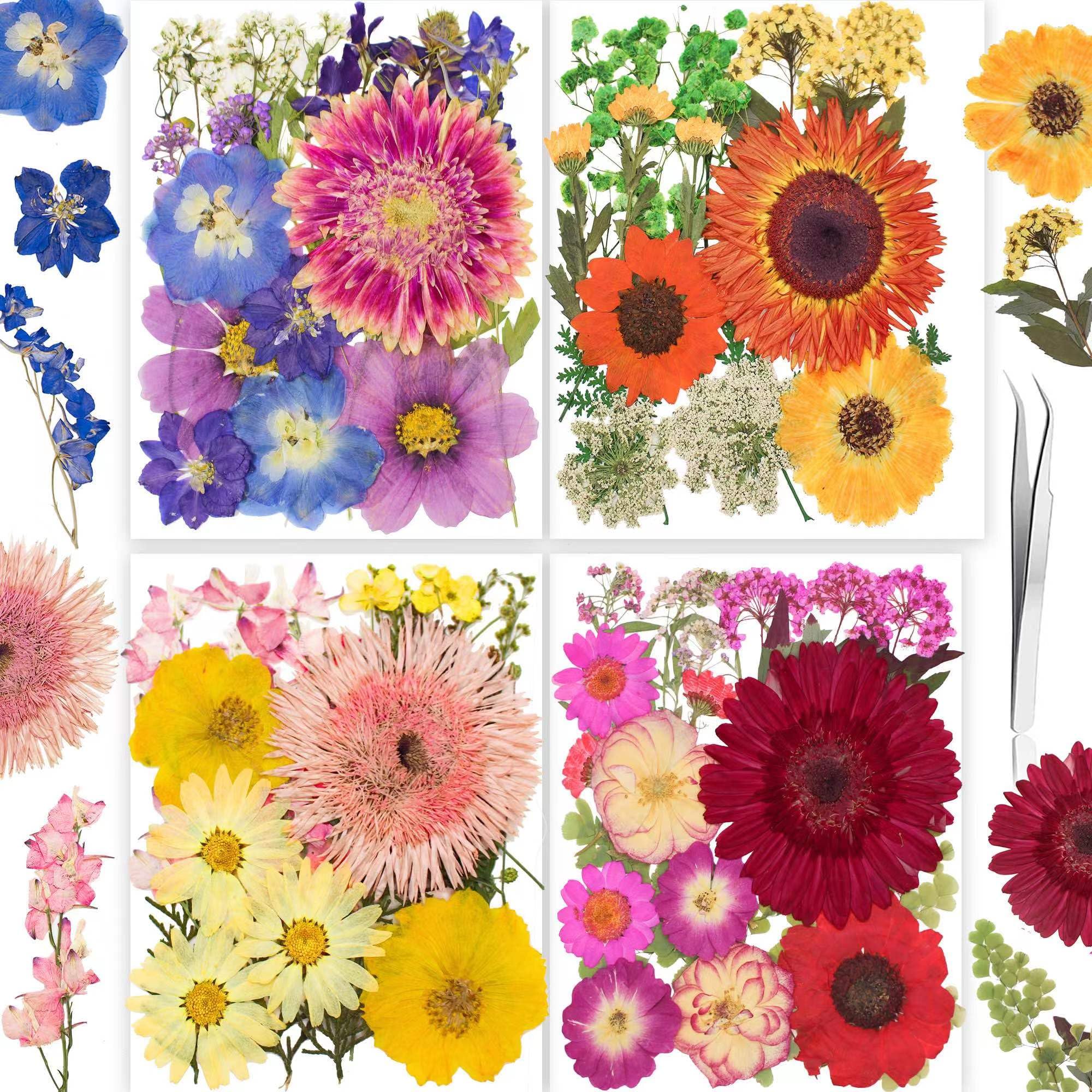 96PCS Vintage White Dried Pressed Flowers for Resin Craft - YouthBro Real Nature Flowers Set with 50 PCS Butterfly Stickers for DIY Scrapbook Art Floral Decors
