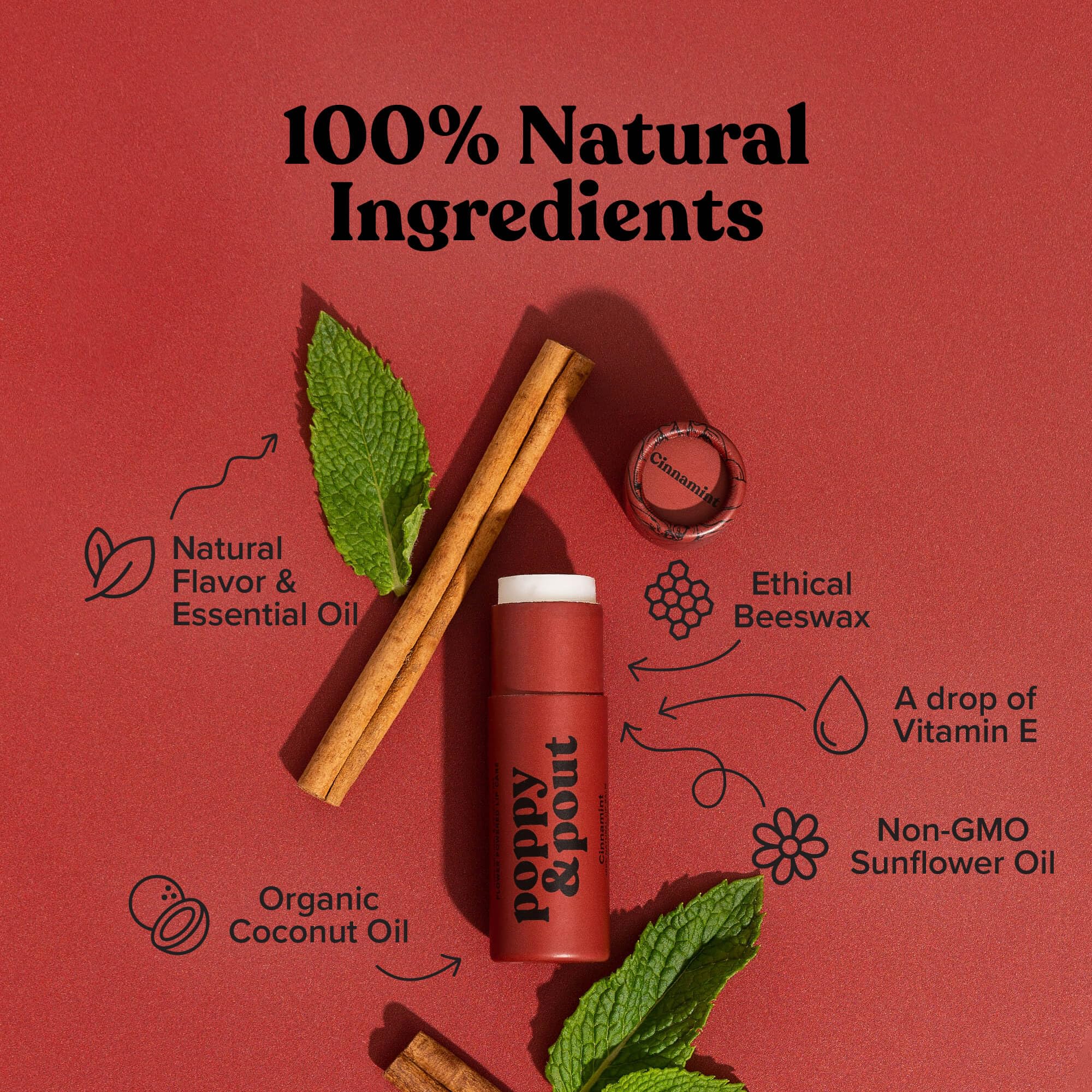 Poppy & Pout Blood Orange Mint Jumbo Lip Balm | All Natural Lip Balms & Moisturizers | Hydrates with Beeswax, Vitamin E, Organic Coconut Oil | Cruelty-Free | Lip Balm in Recyclable Cardboard Tube