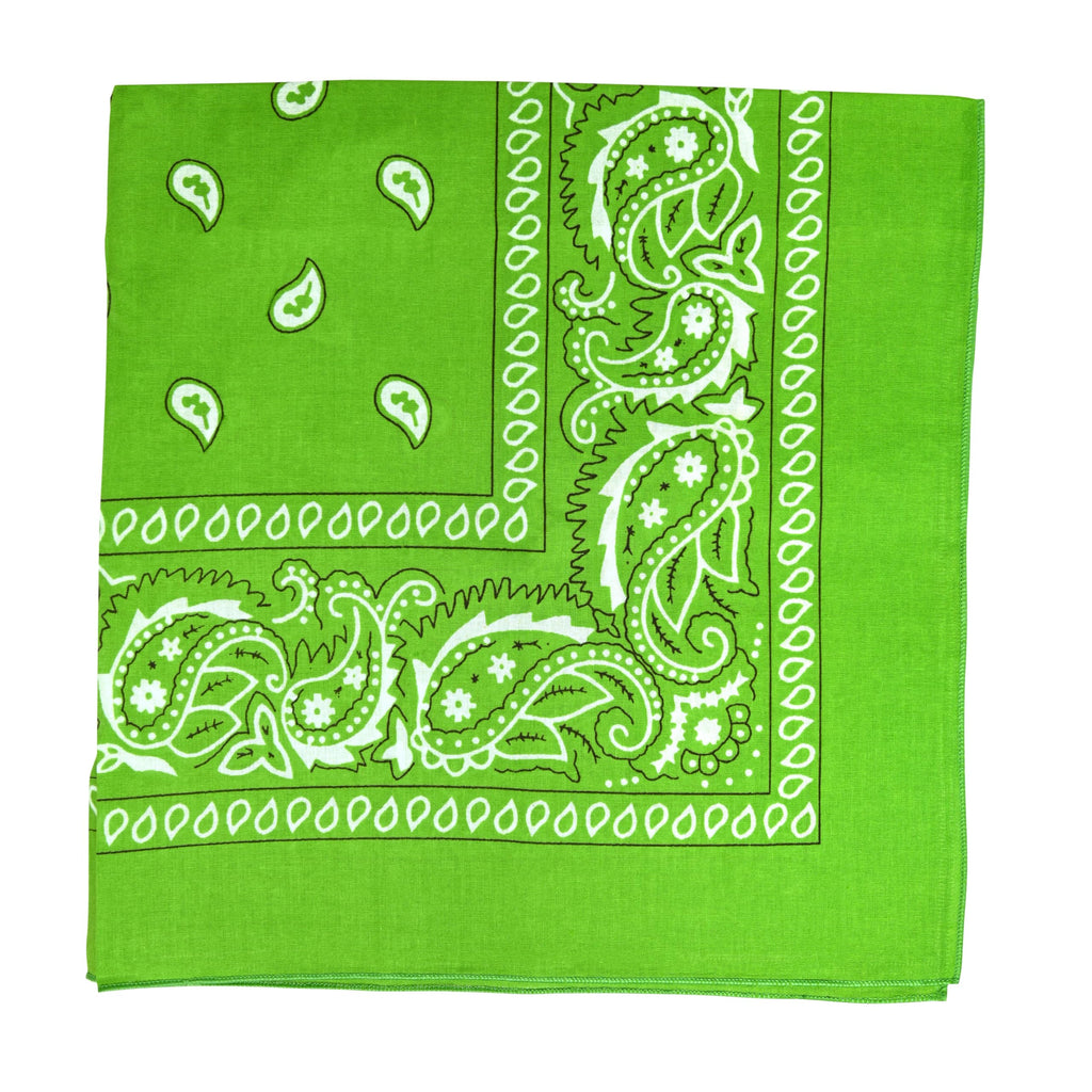 Motique Accessories Extra Large Paisley Bandana 27x27 Inch
