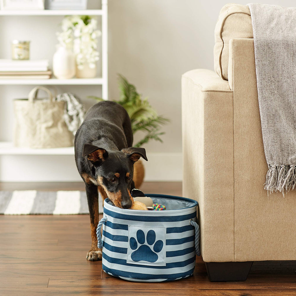 Bone Dry Pet Storage Collection Striped Paw Patch Bin, Aqua, Small Rectangle