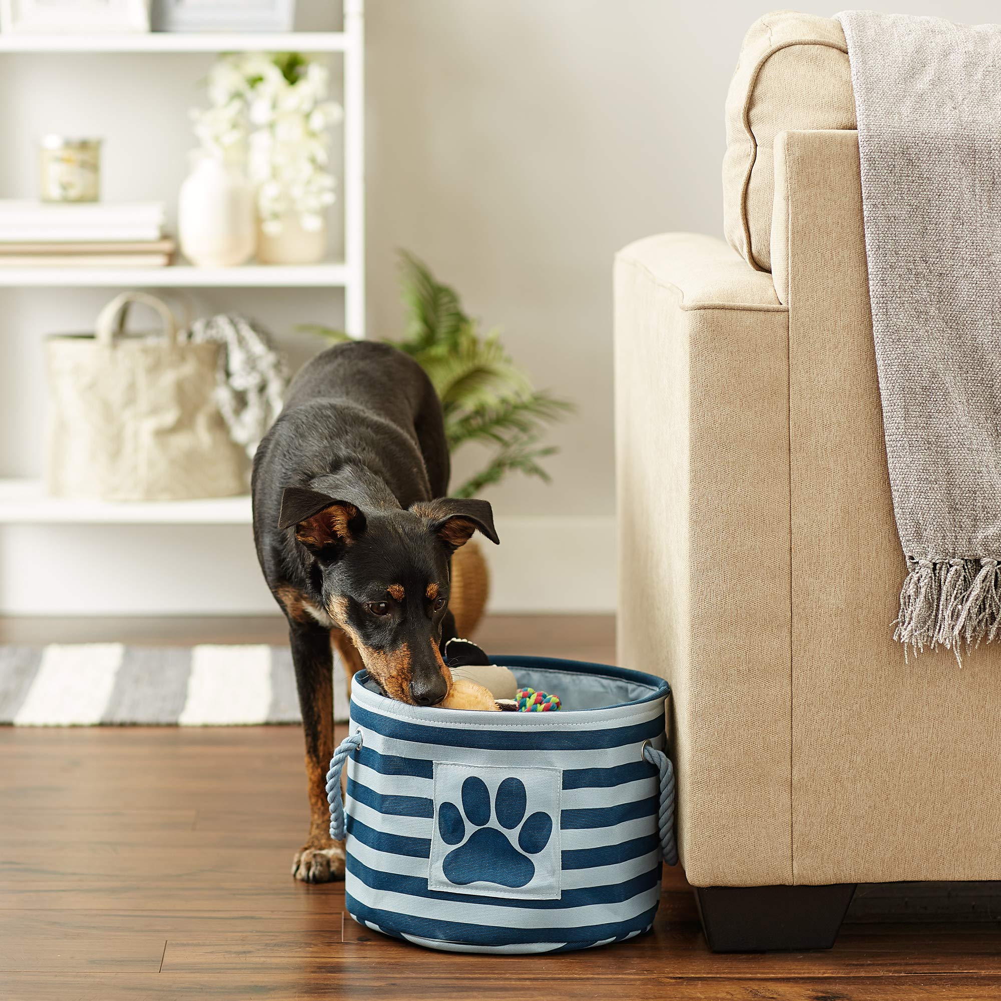 Bone Dry Pet Storage Collection Striped Paw Patch Bin, Aqua, Small Rectangle