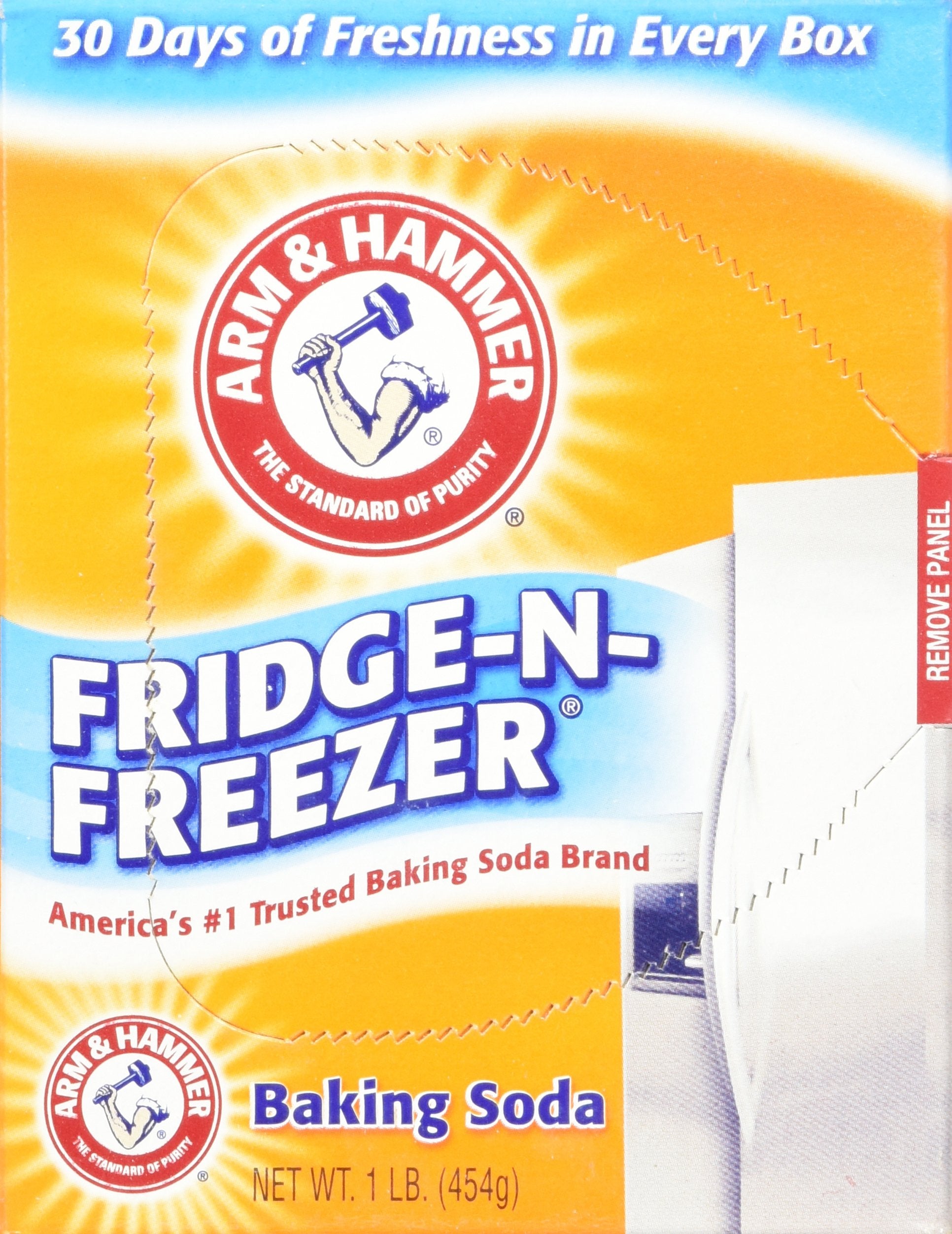Arm & Hammer Fridge-N-Freezer Pack Baking Soda, Unscented, 16 Oz, Powder