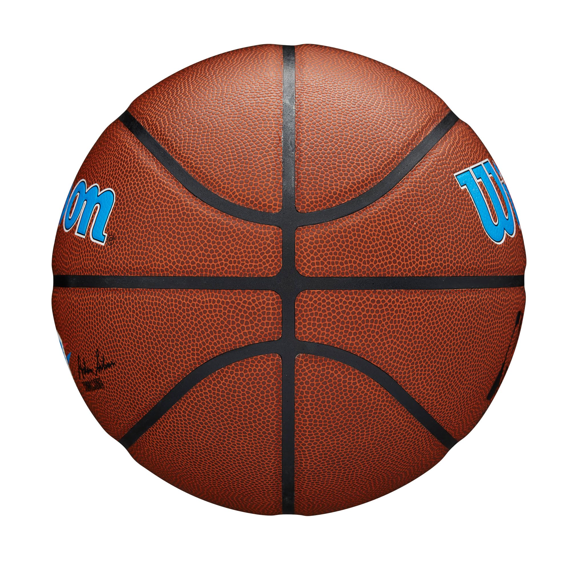 WILSON NBA Team Alliance Basketballs - Size 7-29.5"