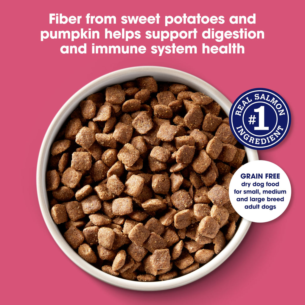 Nature's Recipe Grain Free Dry Dog Food, Salmon, Sweet Potato & Pumpkin Recipe, 4 lb. Bag