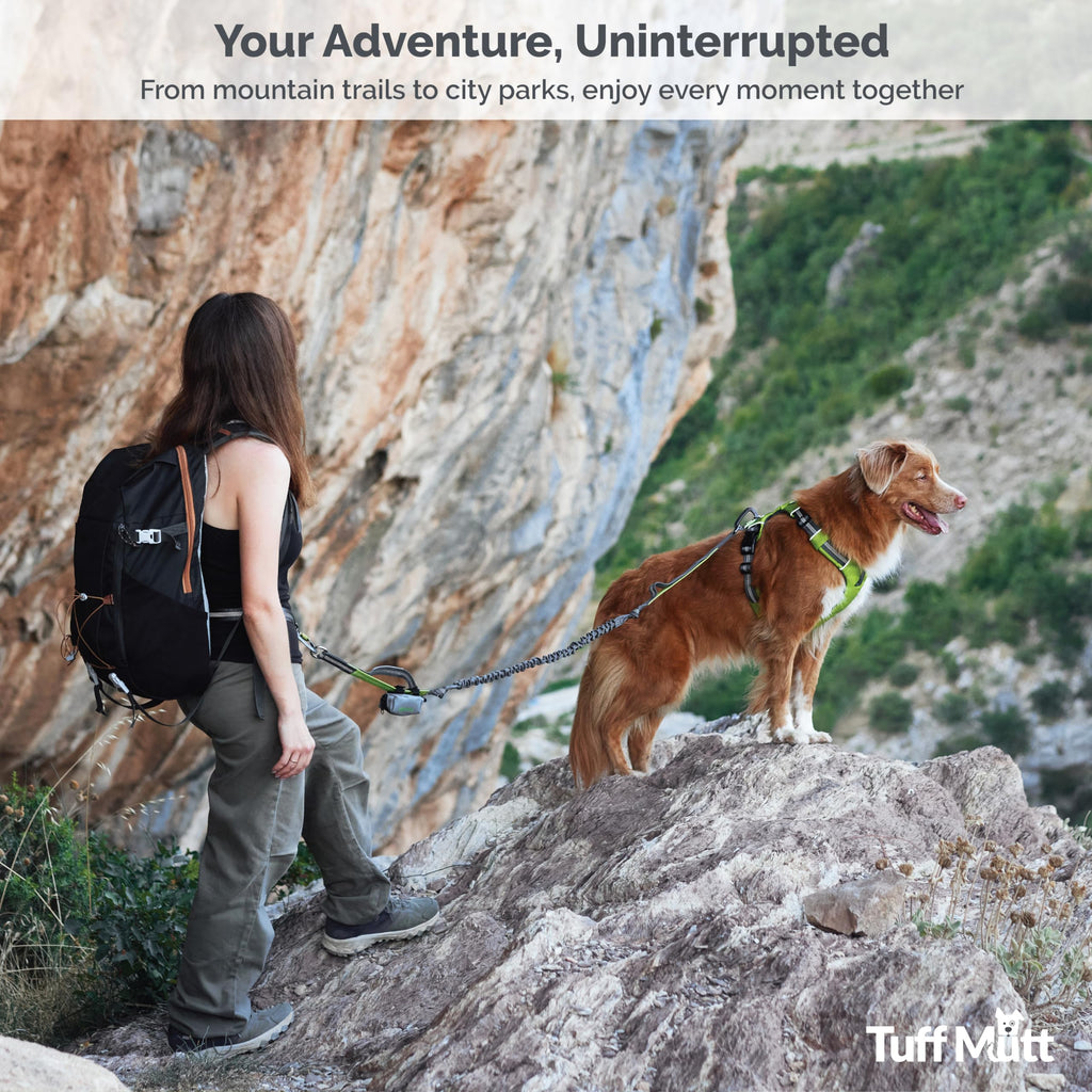 Tuff Mutt Hands-Free Waist Leash for Dog Walking, Running and Hiking, Carabiner Clip, Adjustable Belt with Double Handle, Reflective Bungee Design for Large & Medium Dogs
