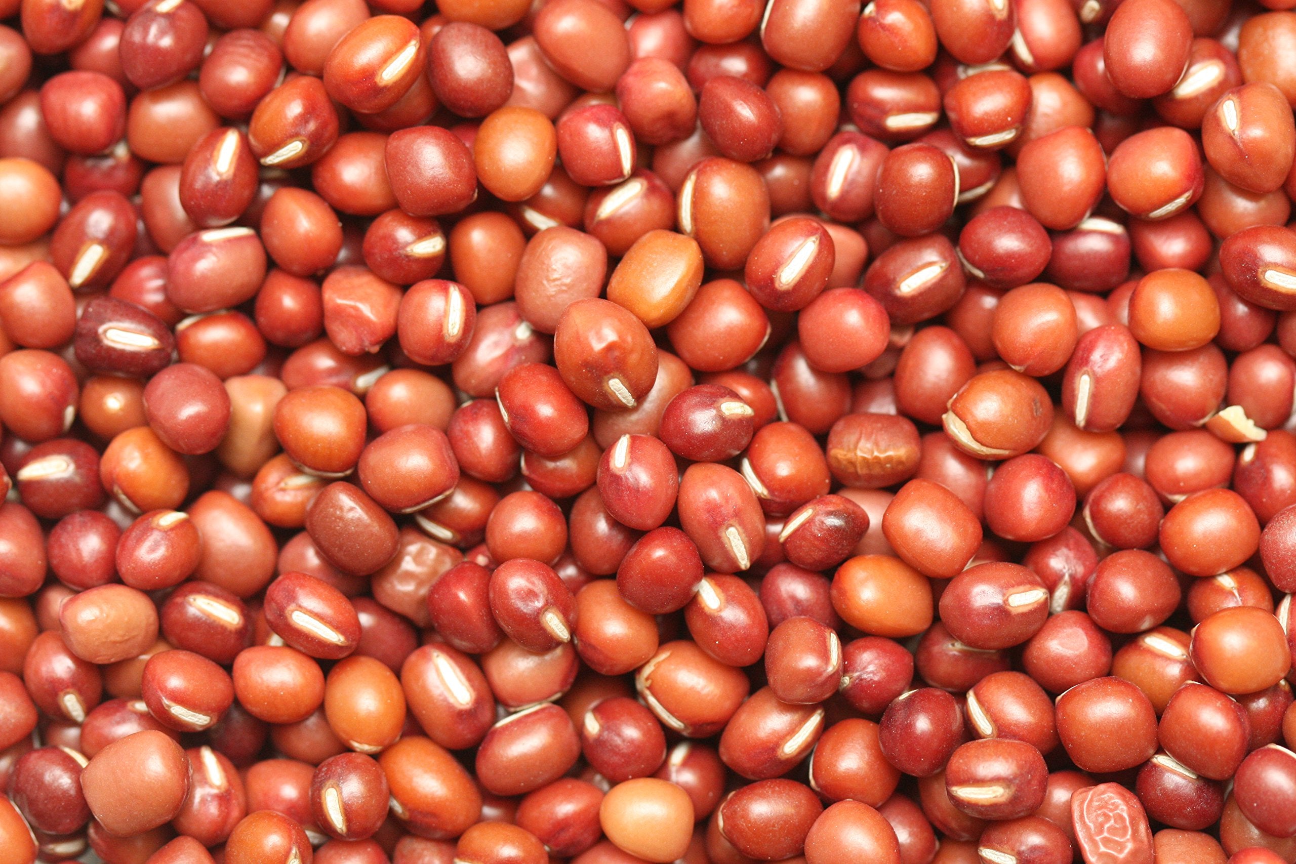 Yupik Organic Adzuki Beans, 2.2 lb (35.2 oz), Non-GMO, Vegan & Gluten-Free, USDA Certified, Kosher, Mildly Nutty Flavour, Ideal for Soups, Stews & Casseroles
