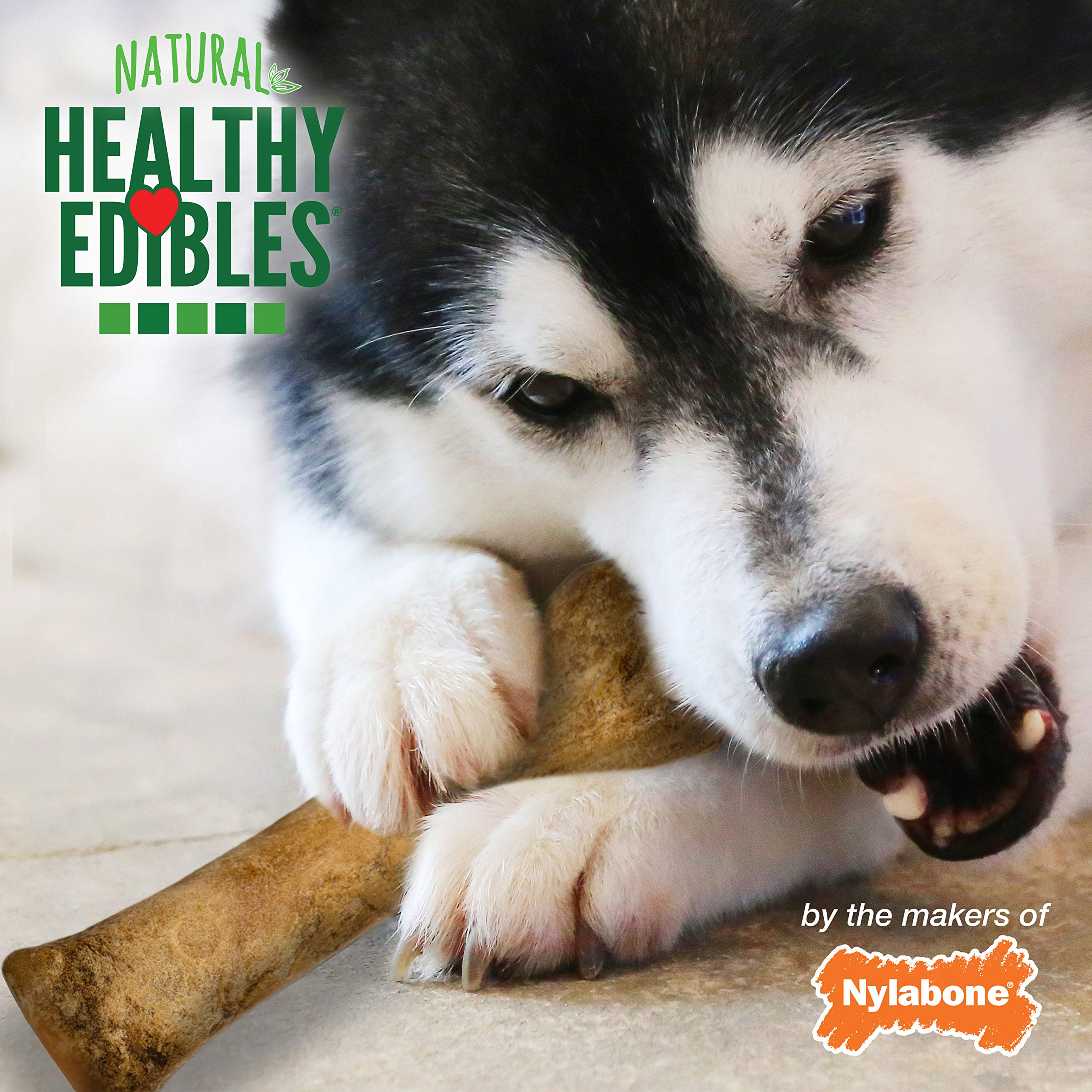 Nylabone Healthy Edibles Natural Dog Chews Long Lasting Bacon Flavor Treats for Dogs, X-Large/Souper (1 Count)