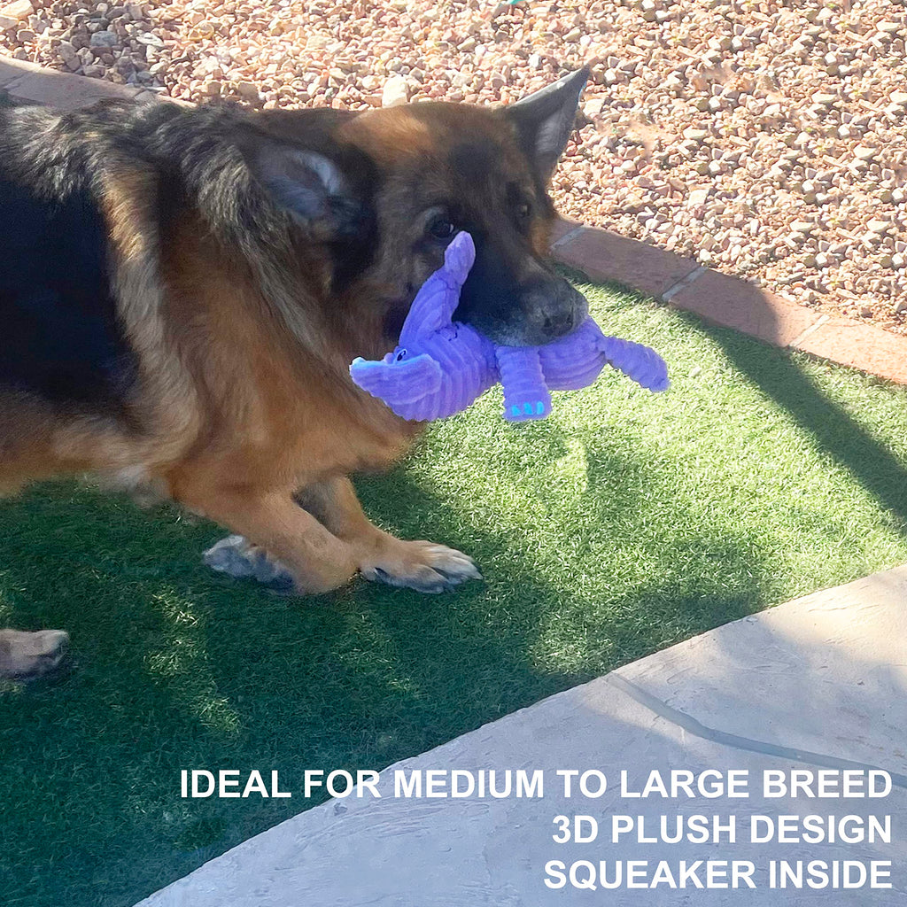 Jalousie Multipack Dog Squeaky Toys Strong Almost Indestructible, with Added Liner for Longer Play Dog Chew Toys (3 Pack - XLarge)
