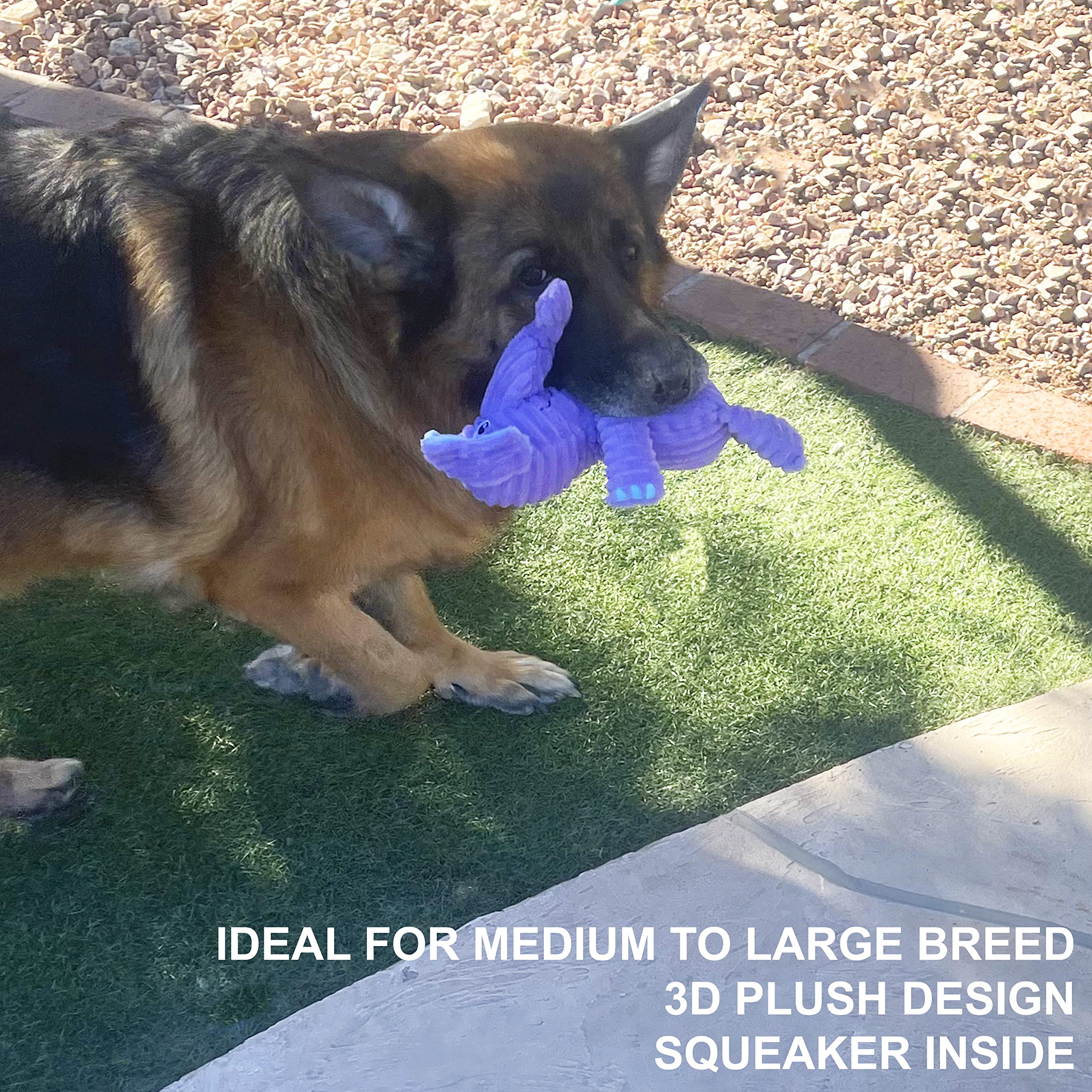 Jalousie Multipack Dog Squeaky Toys Strong Almost Indestructible, with Added Liner for Longer Play Dog Chew Toys (3 Pack - XLarge)