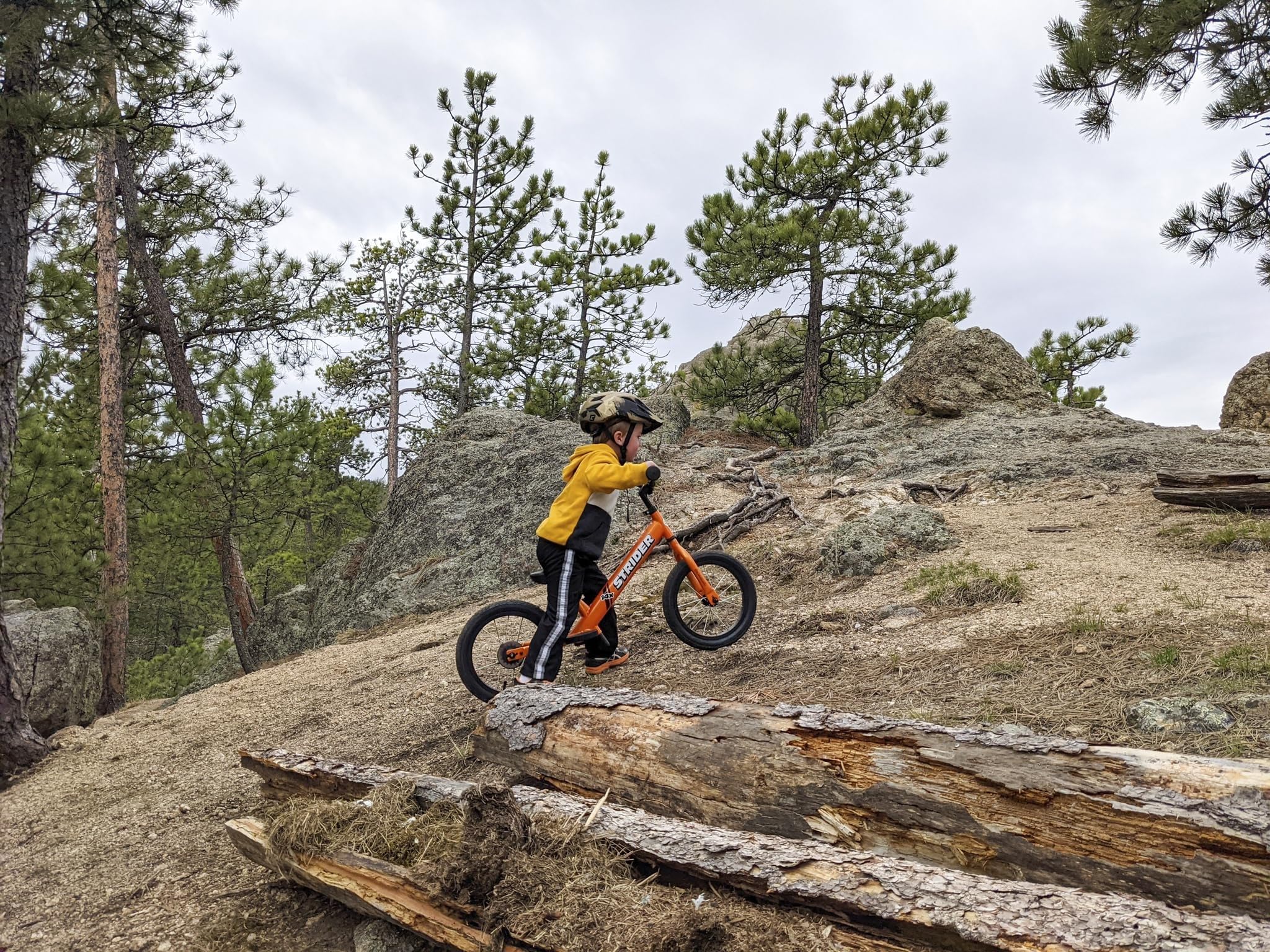 Strider 14x Classic, Balance Bike for Kids 3 to 6 Years - Includes Kid Sized Grips, Padded Seat, Performance Footrest, All-Purpose Tires-Easy Assembly, Tool-Free Adjustments
