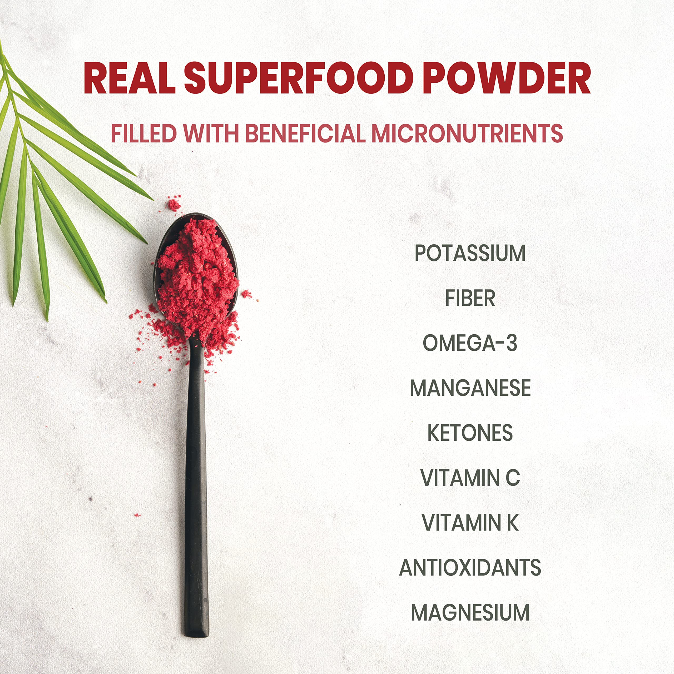Jungle Powders Raspberry Powder 3.5 Ounce Bag, Food Grade Powdered Unsweetened Freeze Dried Raspberries, Additive, Filler Free Red Superfood Extract for Baking Cooking Flavoring Rasberries Smoothies