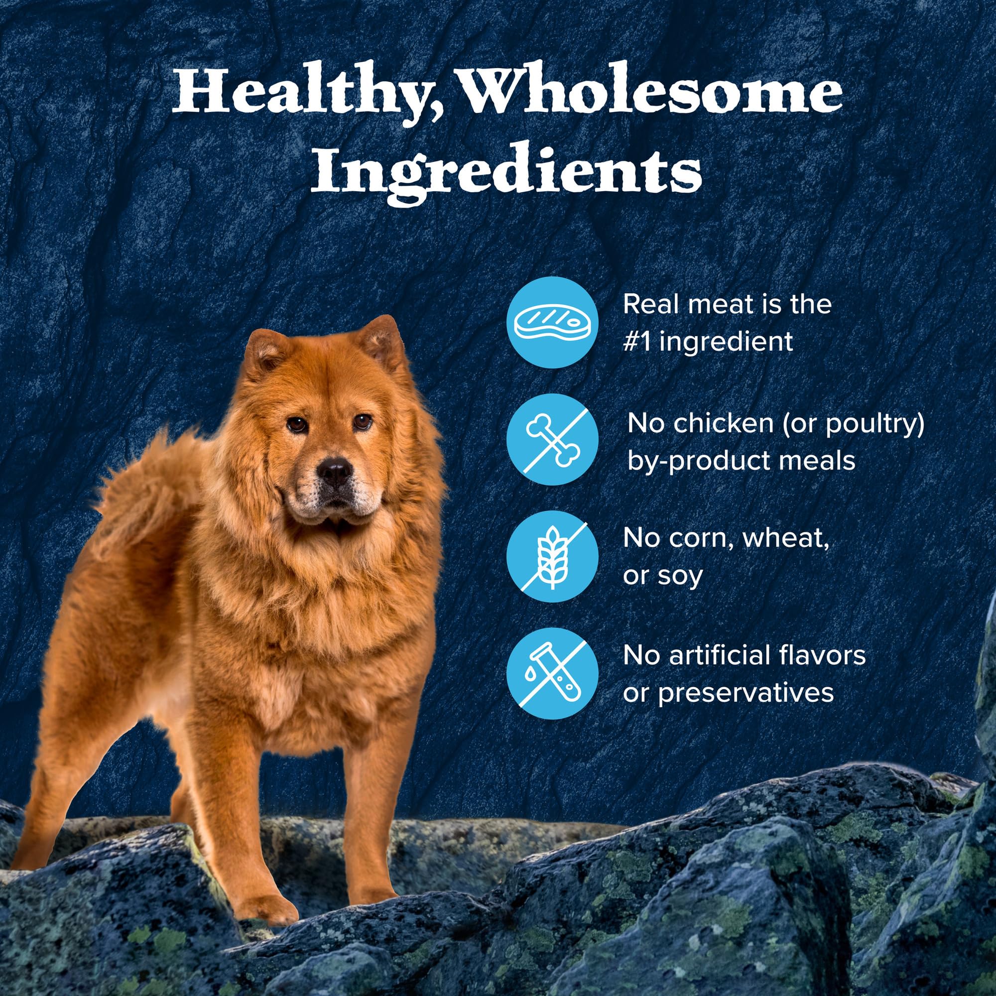Blue Buffalo Wilderness Wild Cuts Trail Toppers Chunky Bites In Hearty Gravy - Beef - 3 Oz