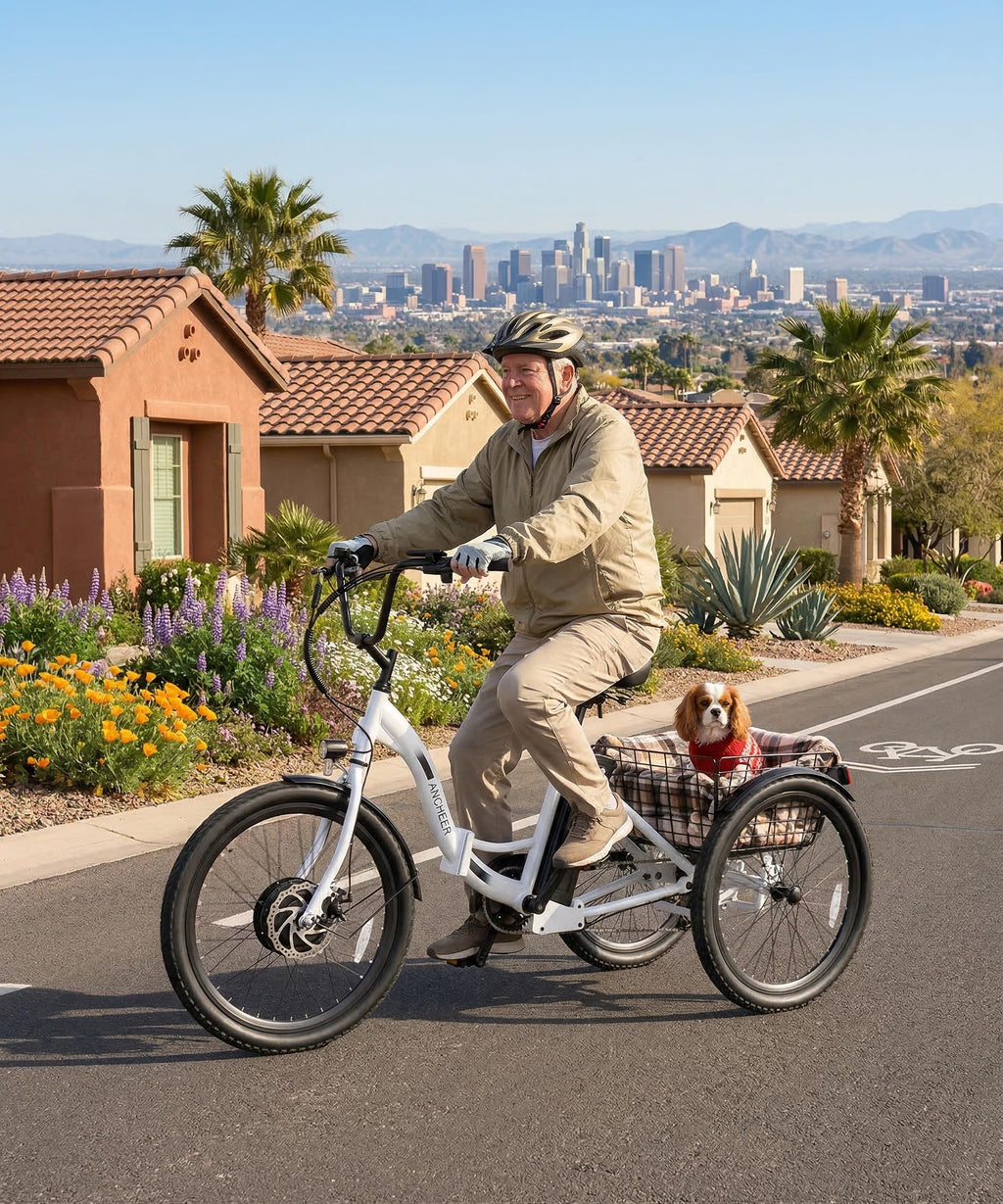 ANCHEER Electric Tricycle for Adults, Peak 600W Folding Electric Trike, 24" 499Wh Ebike for Seniors, 15.5MPH Electric Bike, Removable Battery, 3 Wheel, LCD, Rear Differential, Basket