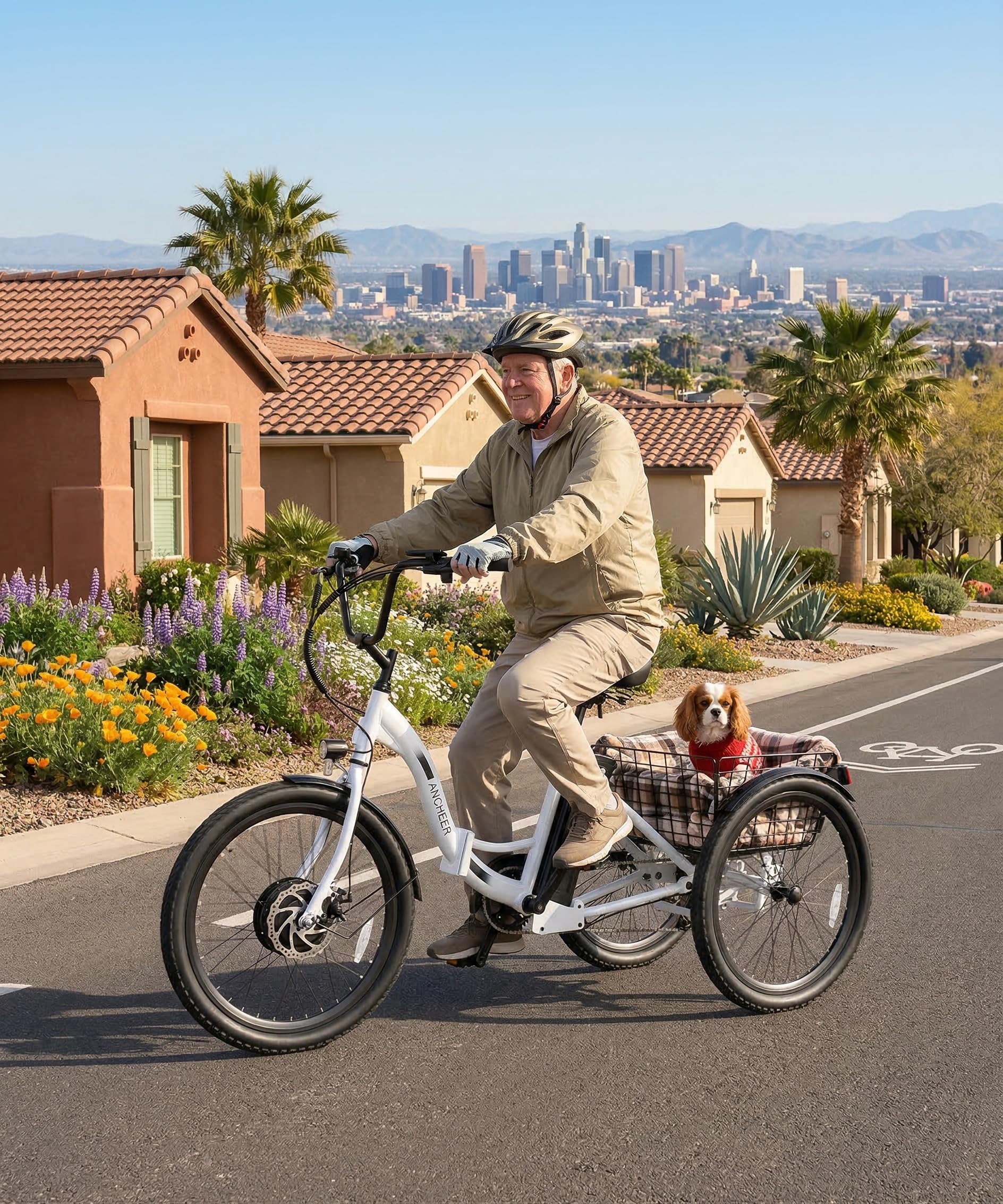 ANCHEER Electric Tricycle for Adults, Peak 600W Folding Electric Trike, 24" 499Wh Ebike for Seniors, 15.5MPH Electric Bike, Removable Battery, 3 Wheel, LCD, Rear Differential, Basket