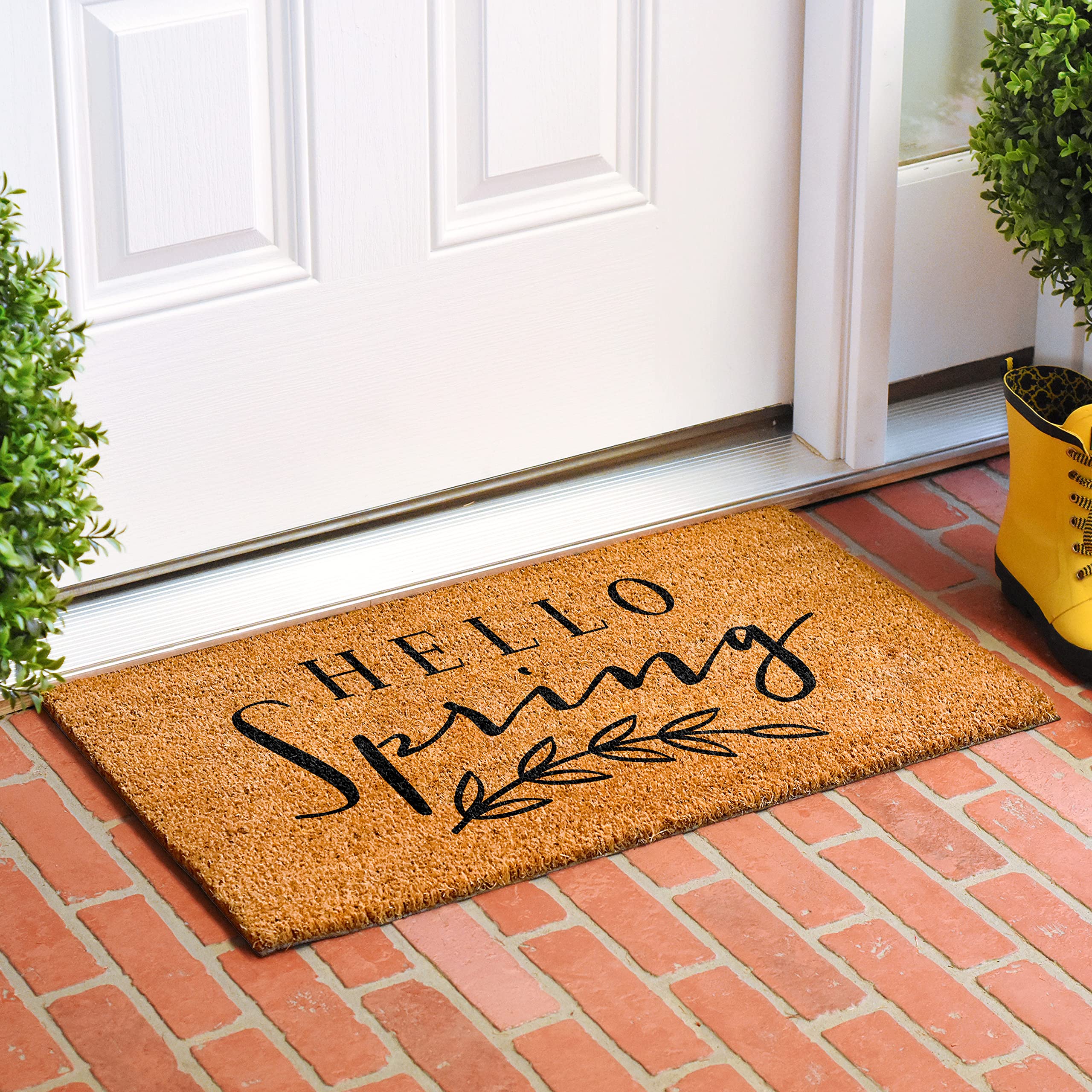 Calloway Mills 107781729 Dandelion Doormat 17" x 29"