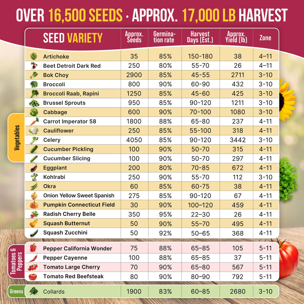 20 Vegetable Seeds Variety Pack - 12,465+ Non-GMO Heirloom Seeds for Planting Vegetables and Fruits in Individual Seed Packets, Home Garden Seed for Hydroponic, Indoor and Outdoors Gardening