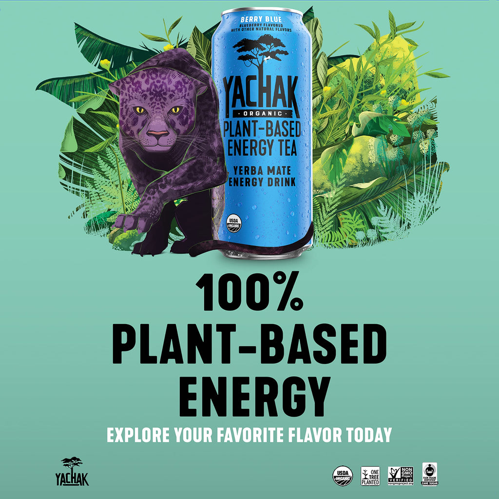 Yachak Yerba Mate Drink, Blackberry, 16 Fl Oz Cans, Pack of 12
