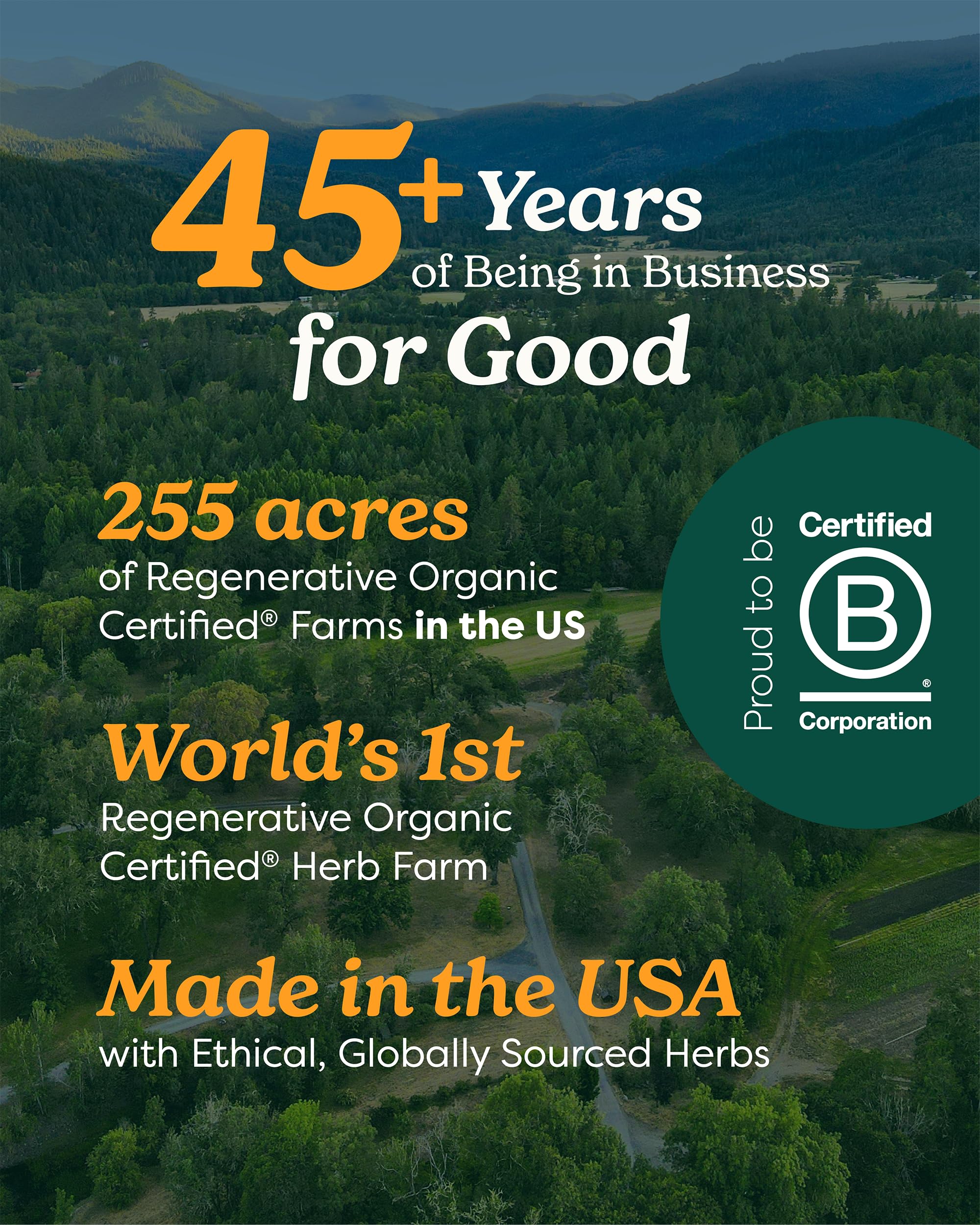 Herb Pharm Echinacea Alcohol-Free Extract: Immune System Support for All Seasons | Fast-Absorbing Echinacea Root Organic Supplement | Non-GMO, Vegan & Gluten-Free | Glycerite Liquid | 1 oz
