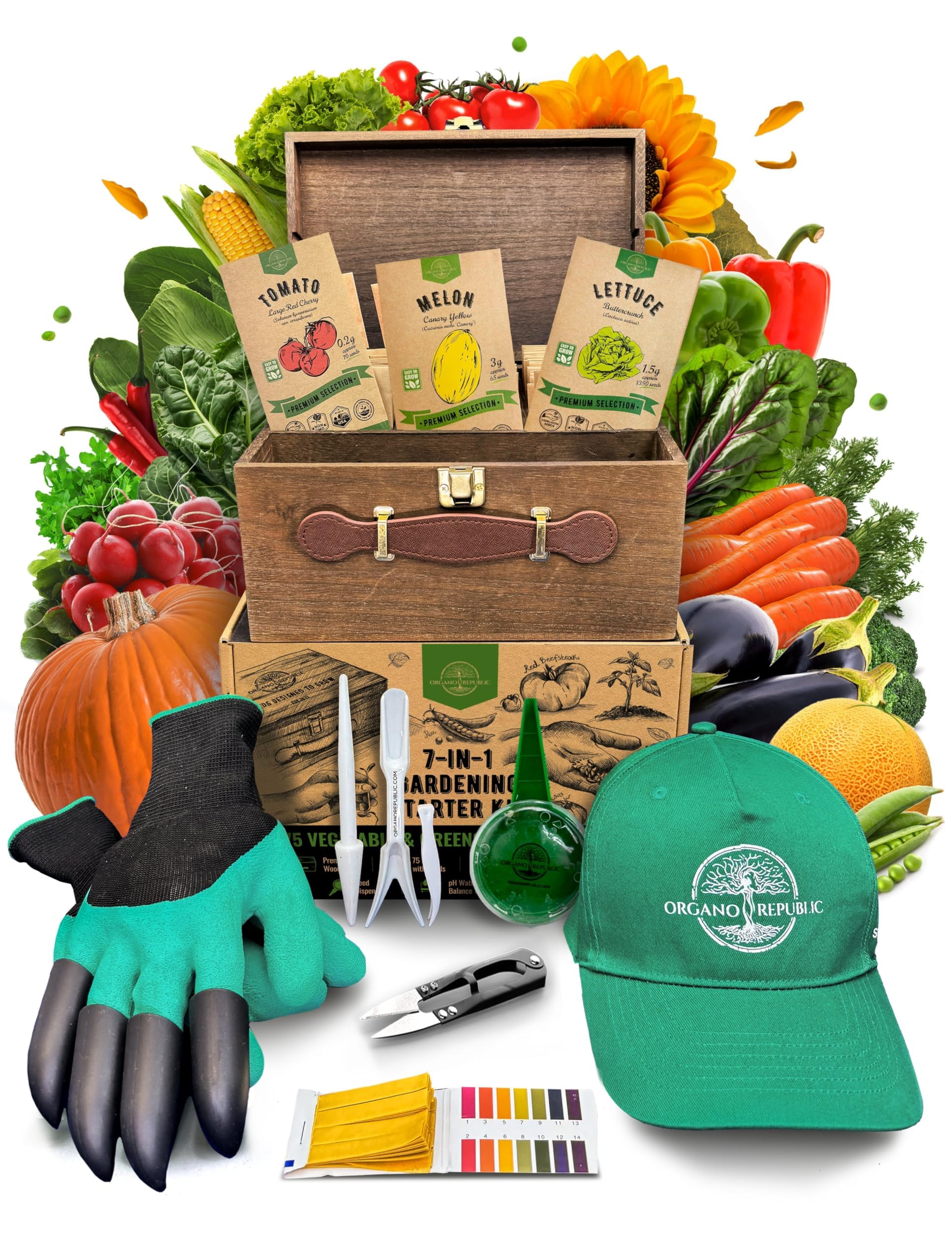 20 Vegetable Seeds Variety Pack - 12,465+ Non-GMO Heirloom Seeds for Planting Vegetables and Fruits in Individual Seed Packets, Home Garden Seed for Hydroponic, Indoor and Outdoors Gardening