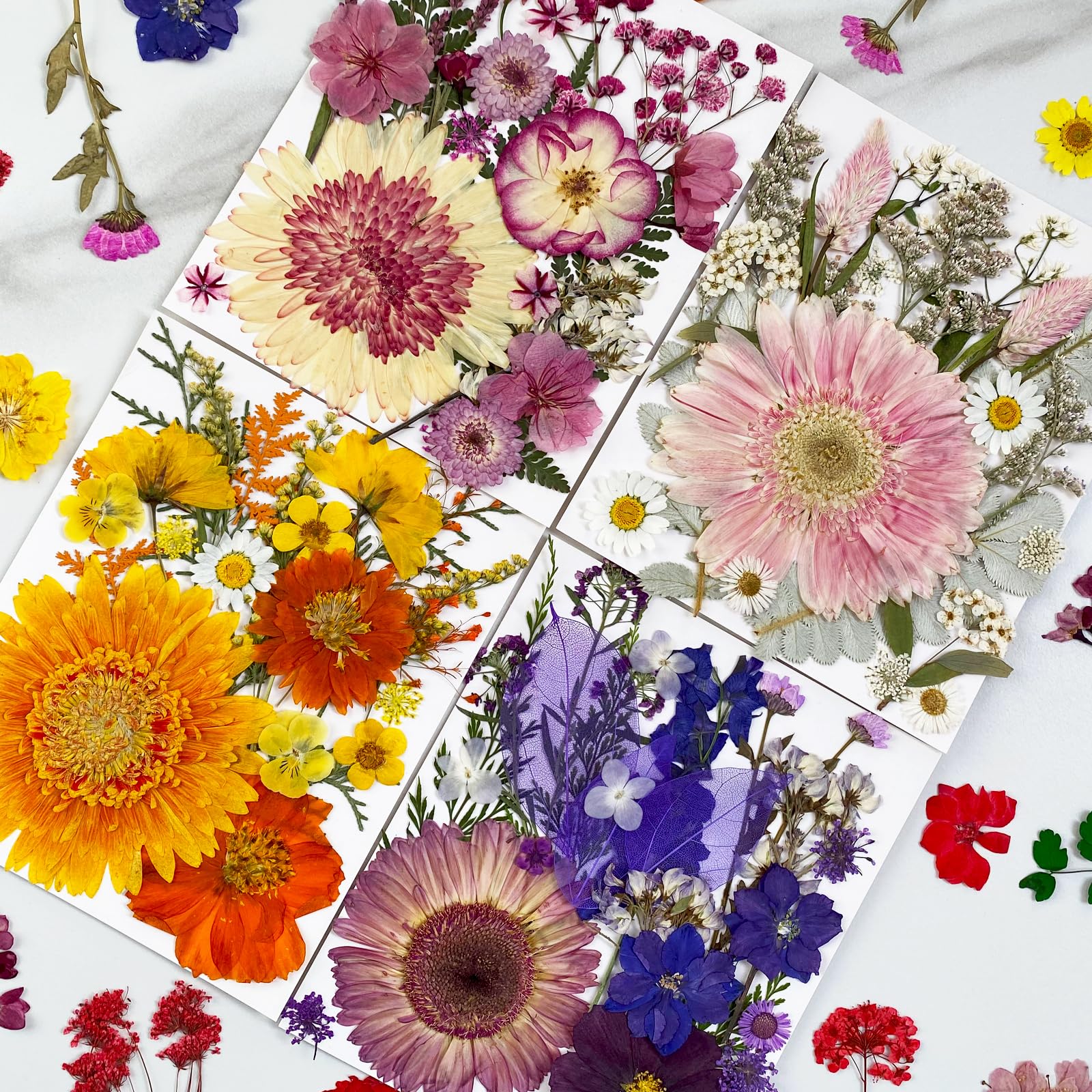 MIKIYA 98Pcs Pressed Dried Flowers for Resin Molds, Real Natural Bulk Big Dry Floral Leave for DIY Art Crafts, Epoxy Jewelry, Candle, Soap Making, Nails Decors