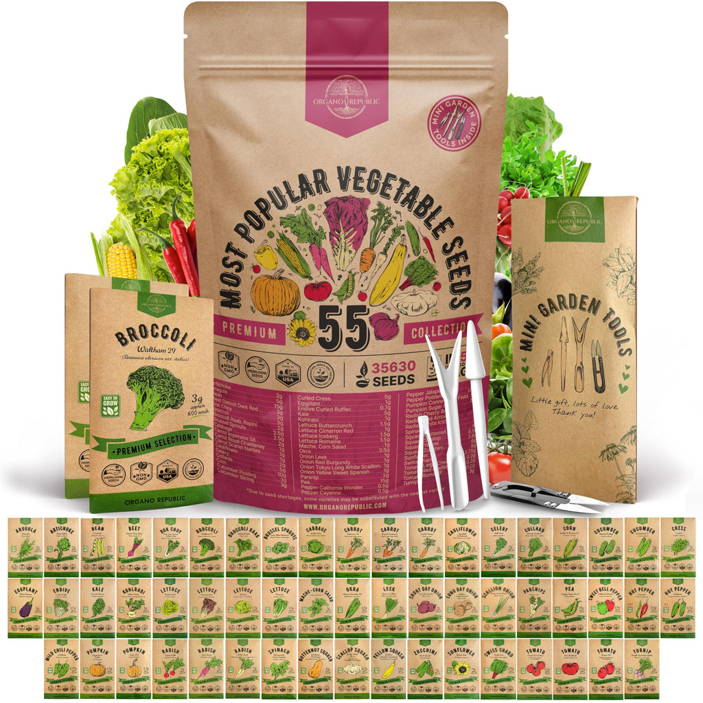 20 Vegetable Seeds Variety Pack - 12,465+ Non-GMO Heirloom Seeds for Planting Vegetables and Fruits in Individual Seed Packets, Home Garden Seed for Hydroponic, Indoor and Outdoors Gardening