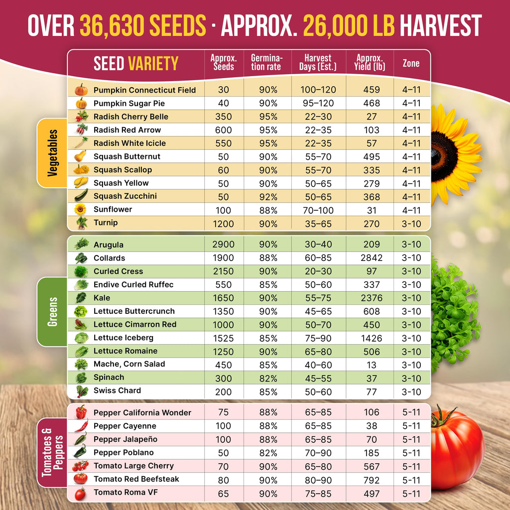 20 Vegetable Seeds Variety Pack - 12,465+ Non-GMO Heirloom Seeds for Planting Vegetables and Fruits in Individual Seed Packets, Home Garden Seed for Hydroponic, Indoor and Outdoors Gardening