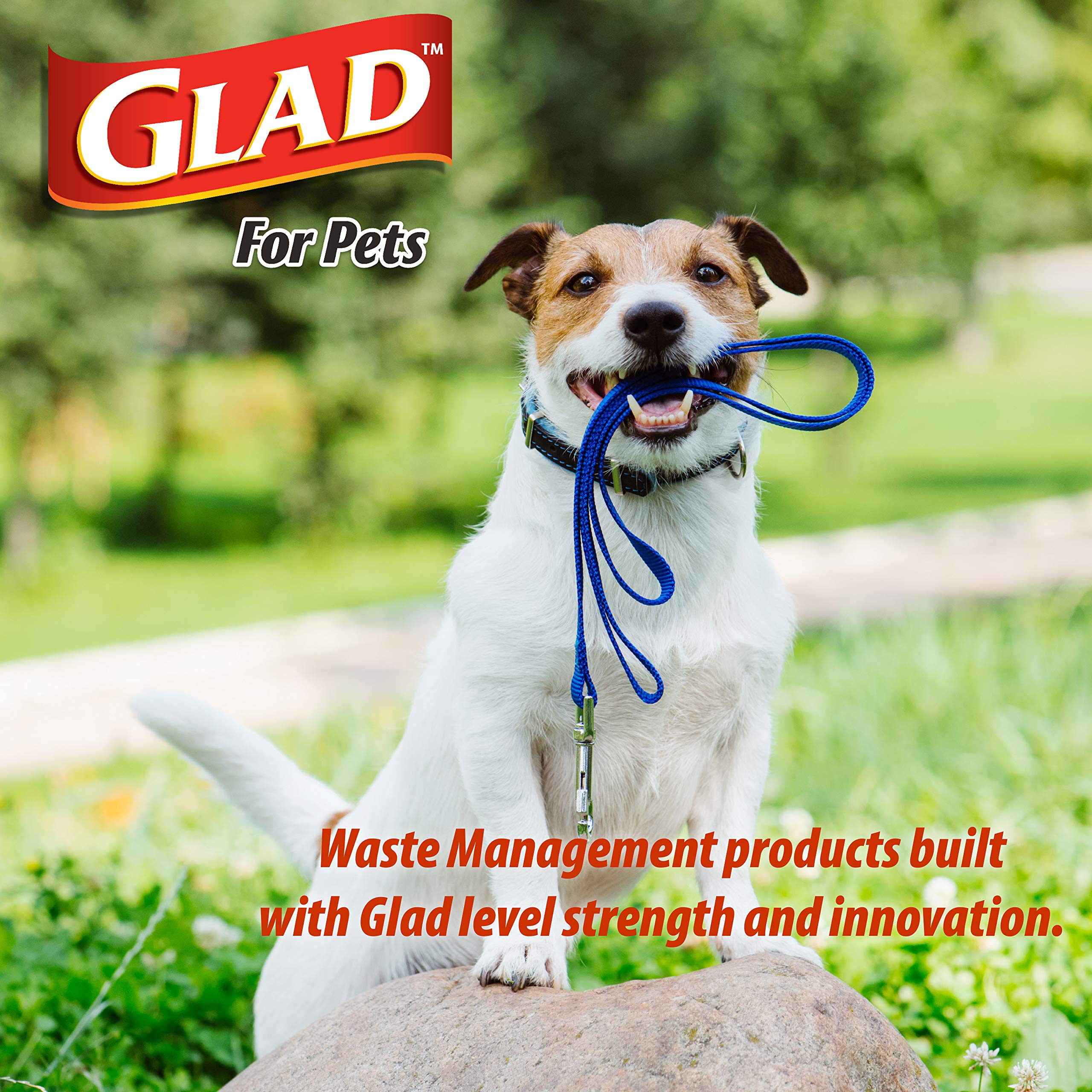 Glad for Pets Heavy Duty Dog Poop Bags, Scented Leak-Resistant Waste Bags with Fun Print Design, Tear-Resistant for Confident Pickup, Fits Standard Dispensers, 6 Rolls, 90 Count (Pack of 2)
