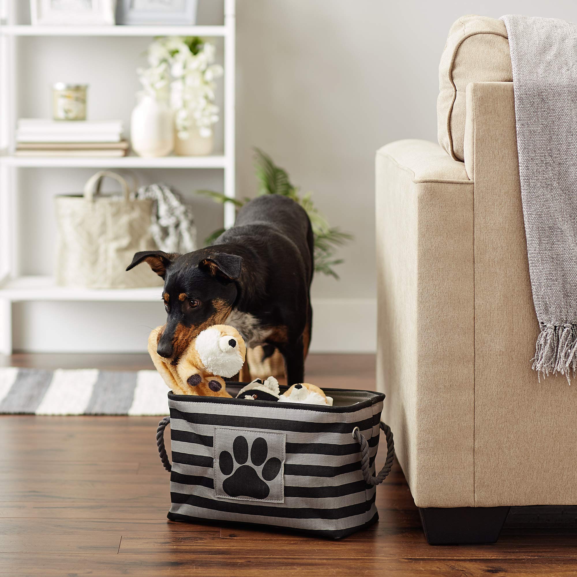 Bone Dry Pet Storage Collection Striped Paw Patch Bin, Aqua, Small Rectangle