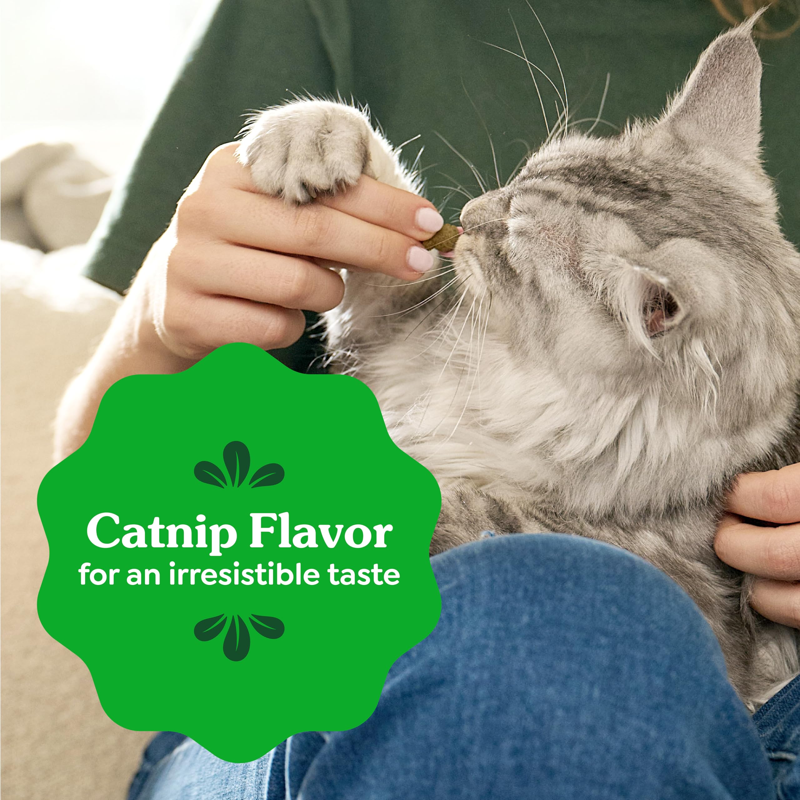 Greenies Cat Treats, Feline Veterinarian-Recommended Adult Natural Dental Treats, Catnip Flavor, 2.1 oz. Pouch