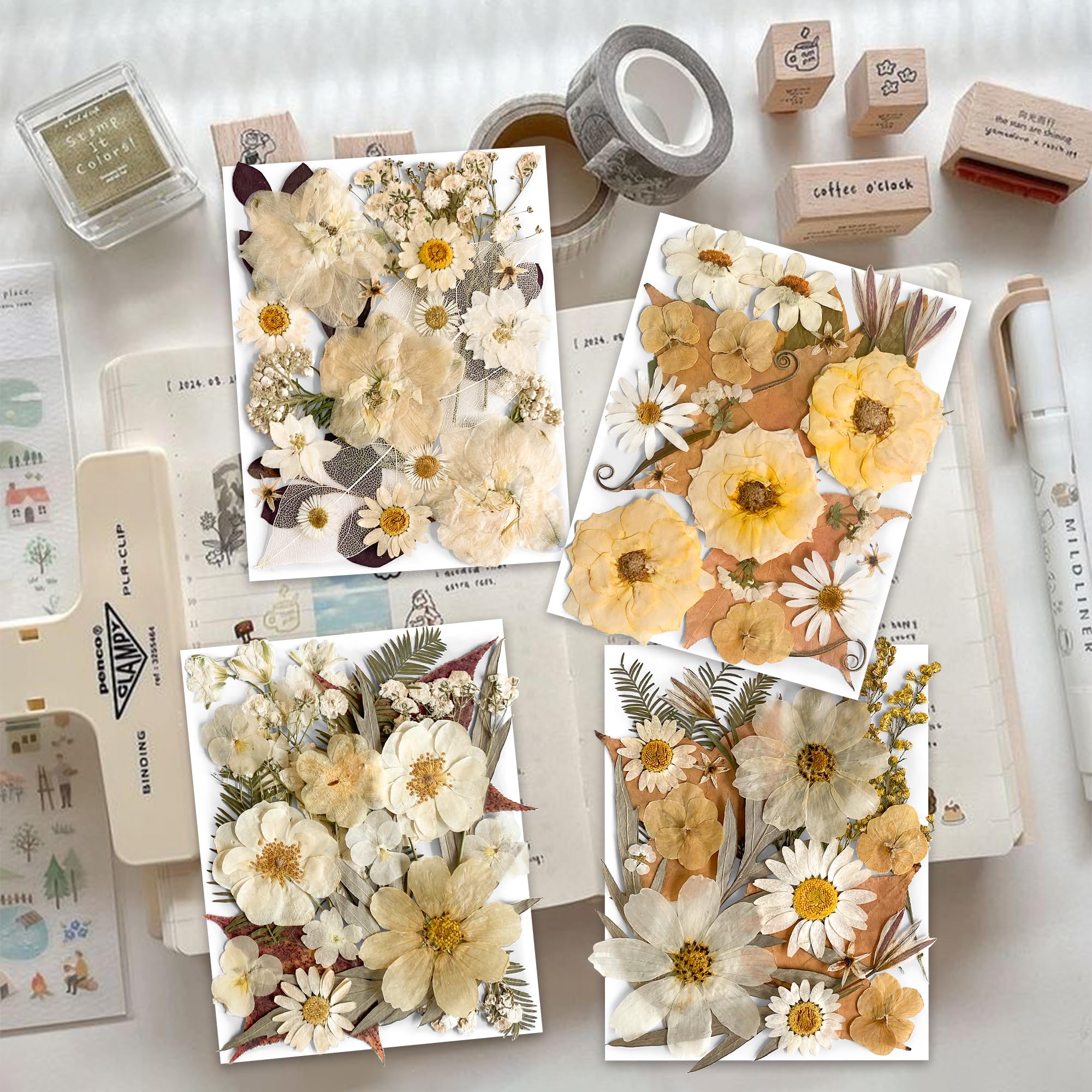 96PCS Vintage White Dried Pressed Flowers for Resin Craft - YouthBro Real Nature Flowers Set with 50 PCS Butterfly Stickers for DIY Scrapbook Art Floral Decors