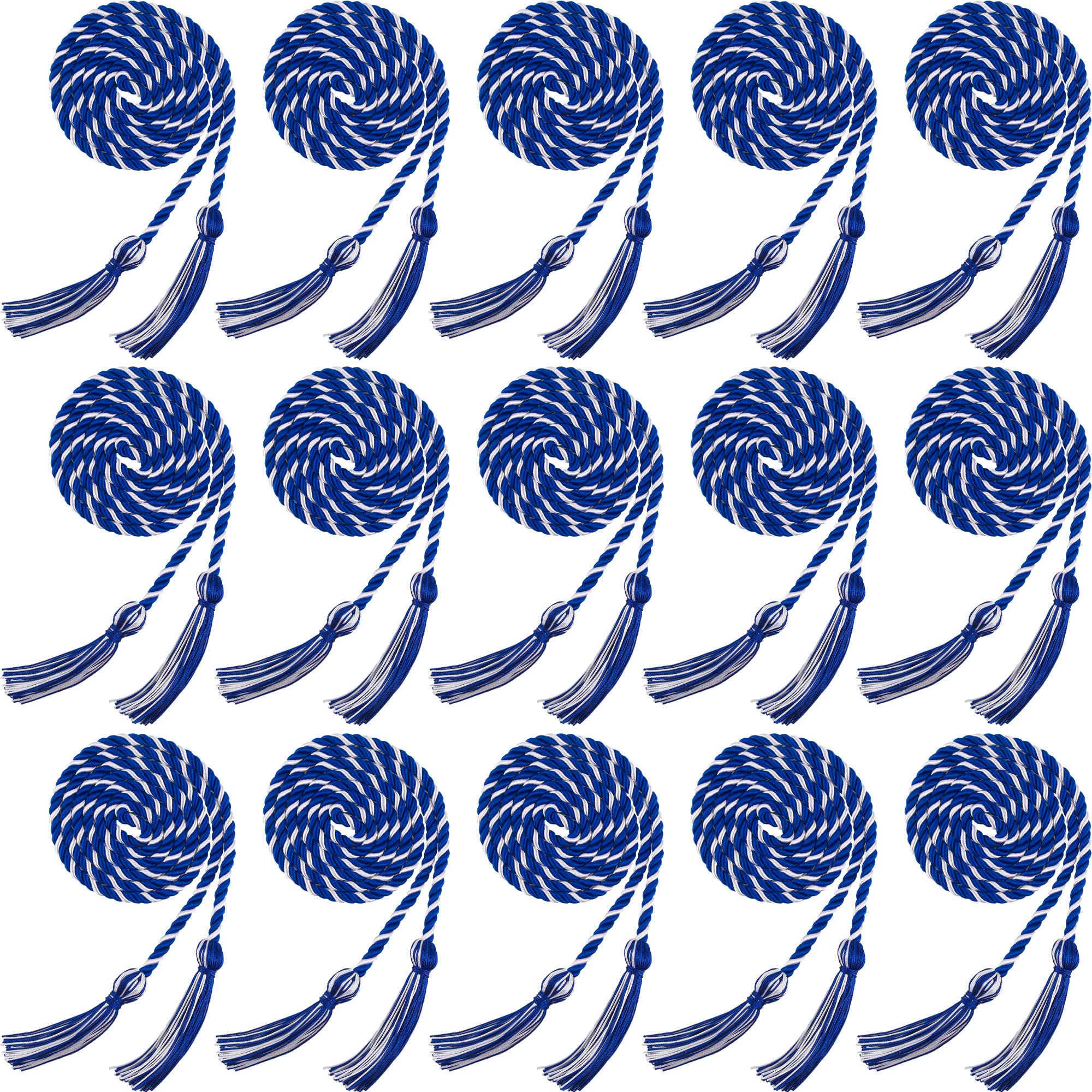 15 Pieces Graduation Honor Cord Braided Honor Cords with Tassels for Graduation Students (Black)