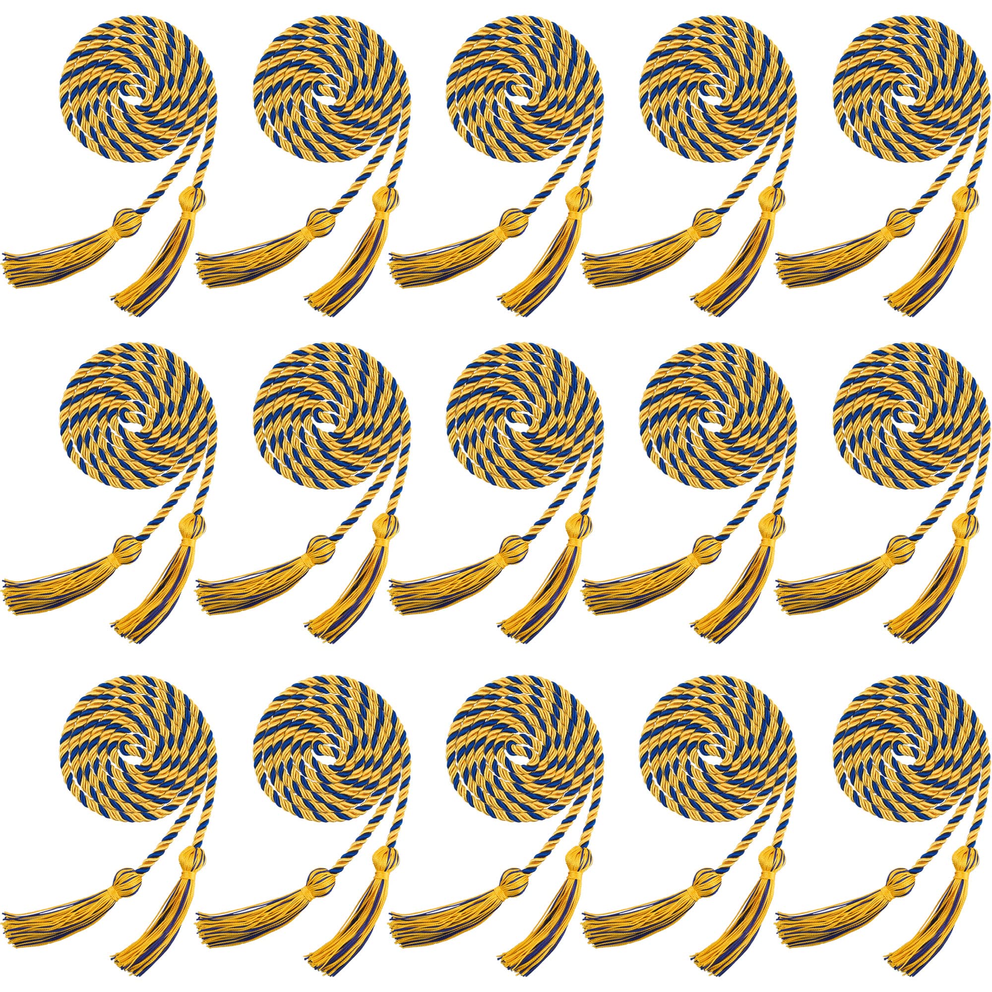 15 Pieces Graduation Honor Cord Braided Honor Cords with Tassels for Graduation Students (Black)