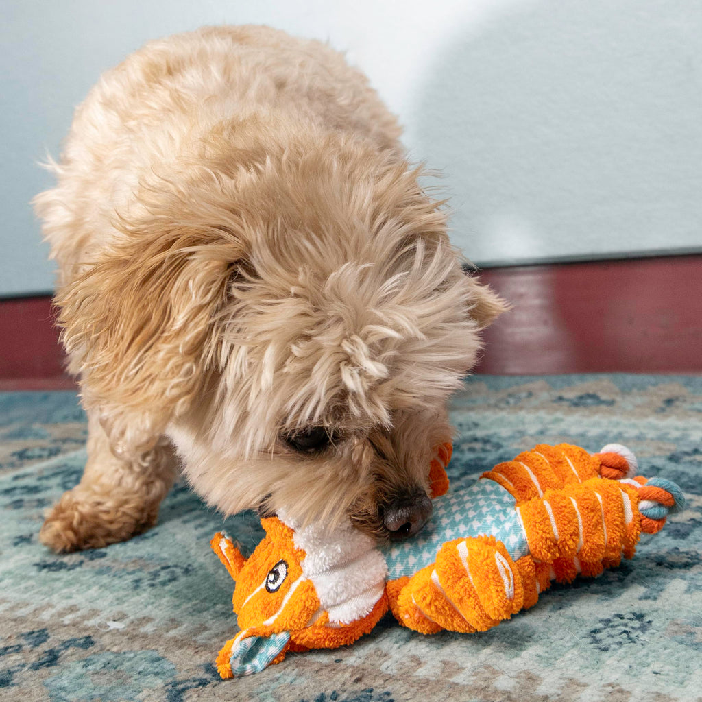 KONG Floppy Knots - Durable No‑Stuffing Squeaky Rope & Plush Dog Toy - for Teething, Playing (Bunny, Small/Medium)