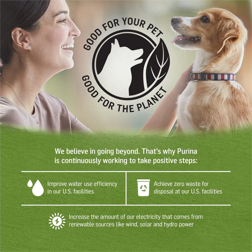 Purina Beyond Chicken, Lamb and Spinach Ground Natural Grain Free Wet Dog Food with Added Vitamins and Minerals - (Pack of 12) 13 oz. Cans