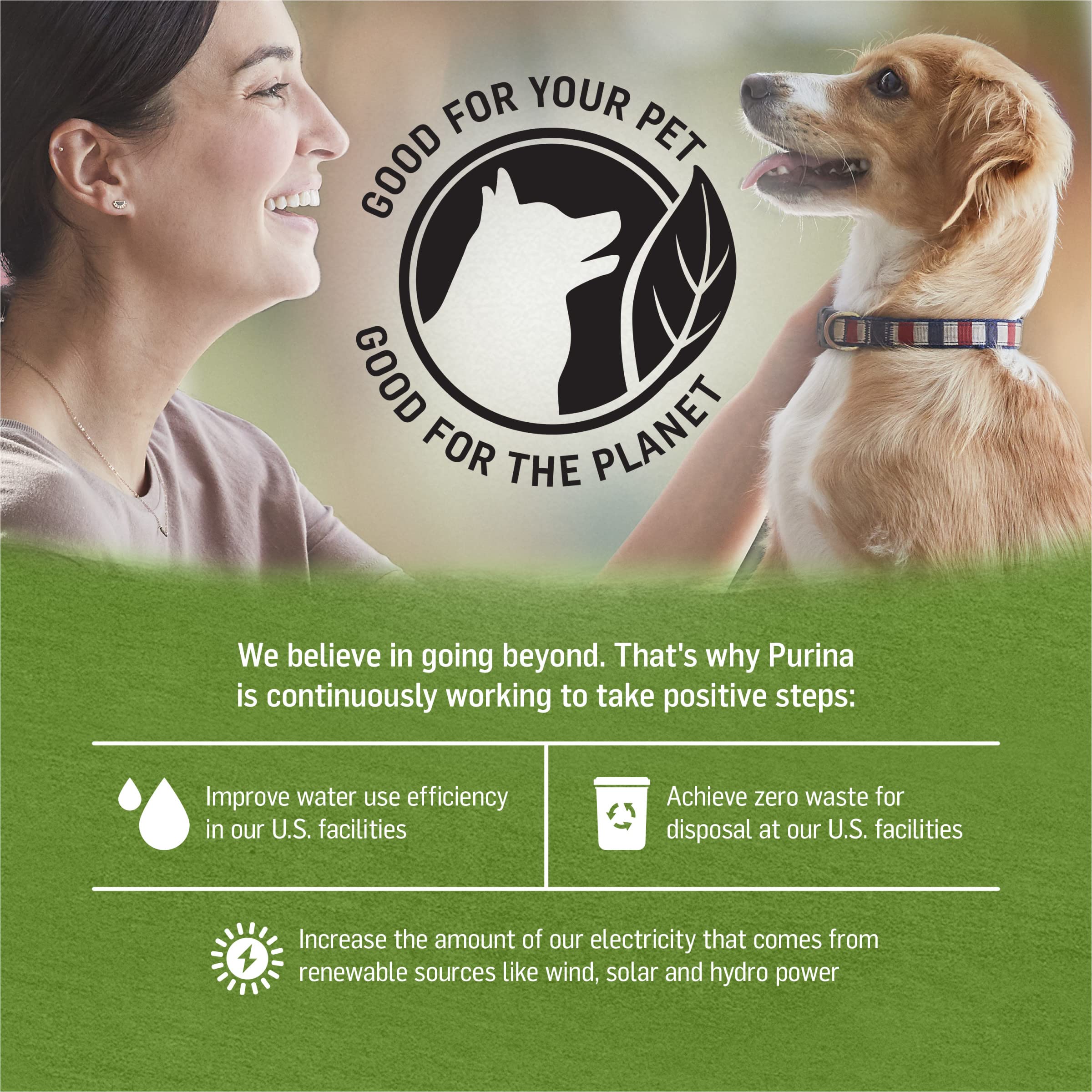 Purina Beyond Chicken, Lamb and Spinach Ground Natural Grain Free Wet Dog Food with Added Vitamins and Minerals - (Pack of 12) 13 oz. Cans