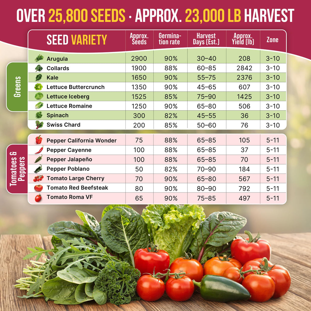 20 Vegetable Seeds Variety Pack - 12,465+ Non-GMO Heirloom Seeds for Planting Vegetables and Fruits in Individual Seed Packets, Home Garden Seed for Hydroponic, Indoor and Outdoors Gardening