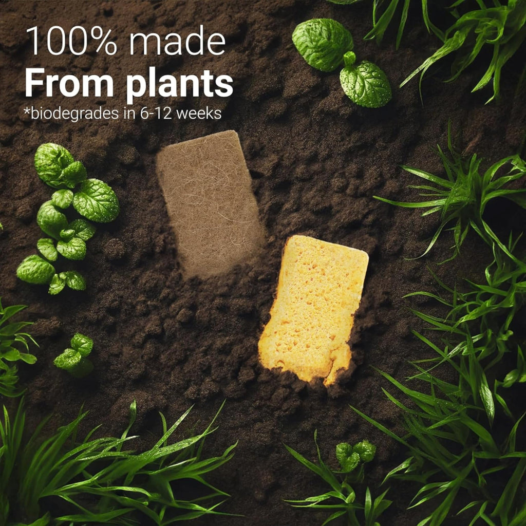 bioGo 30 Pack Compostable Pop-Up Sponges - Expanding, Non-Scratch, Plant-Based Dish - Bulk Color - Pop Up Sponge - Kitchen