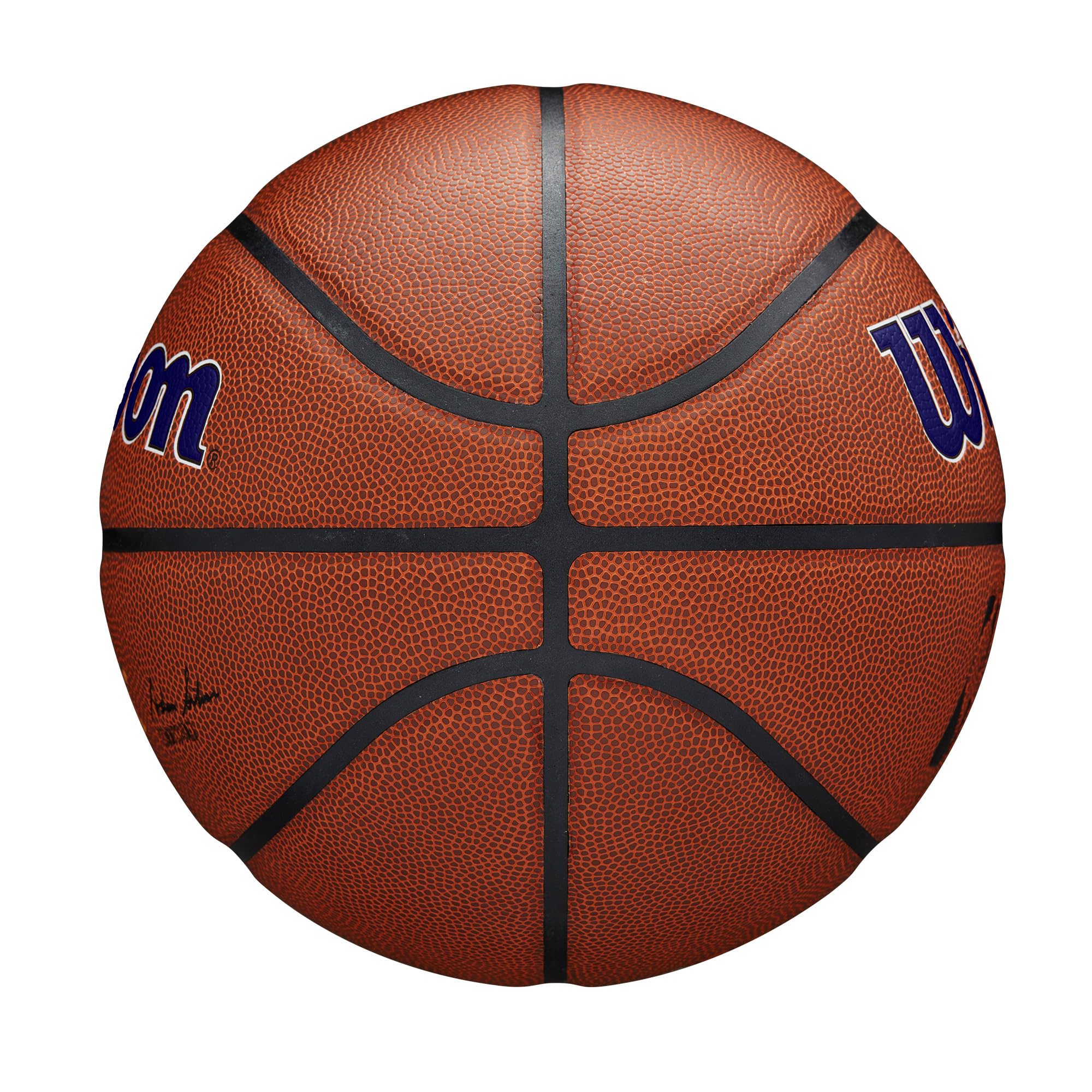 WILSON NBA Team Alliance Basketballs - Size 7-29.5"