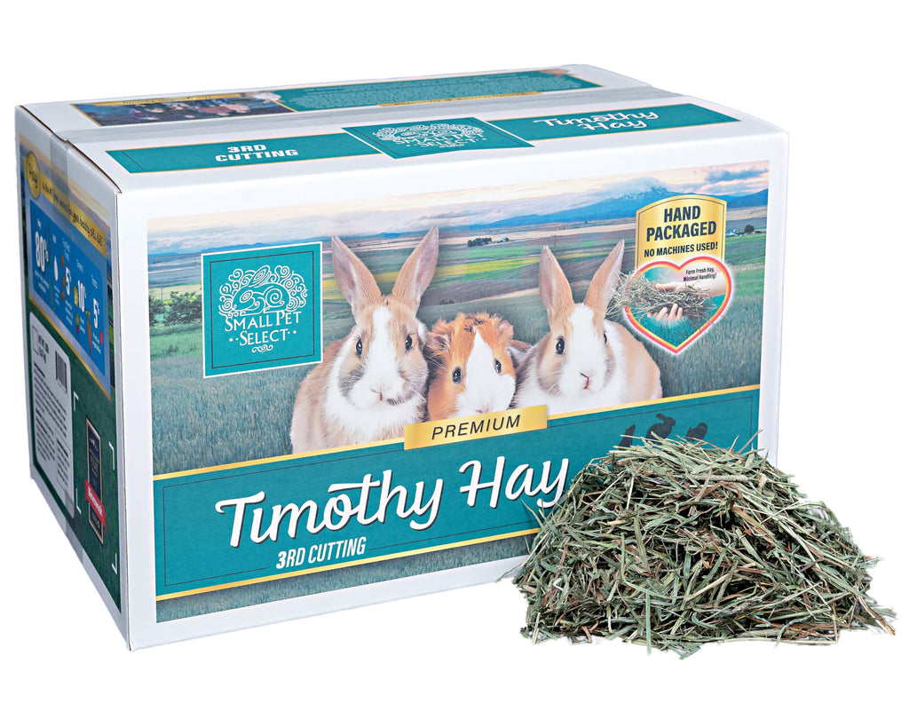 Small Pet Select 3rd Cutting Super Soft Timothy Hay Pet Food for Picky Eaters, Rabbits, Guinea Pigs, and Other Small Animals, Easy to Store Box, 2 LB