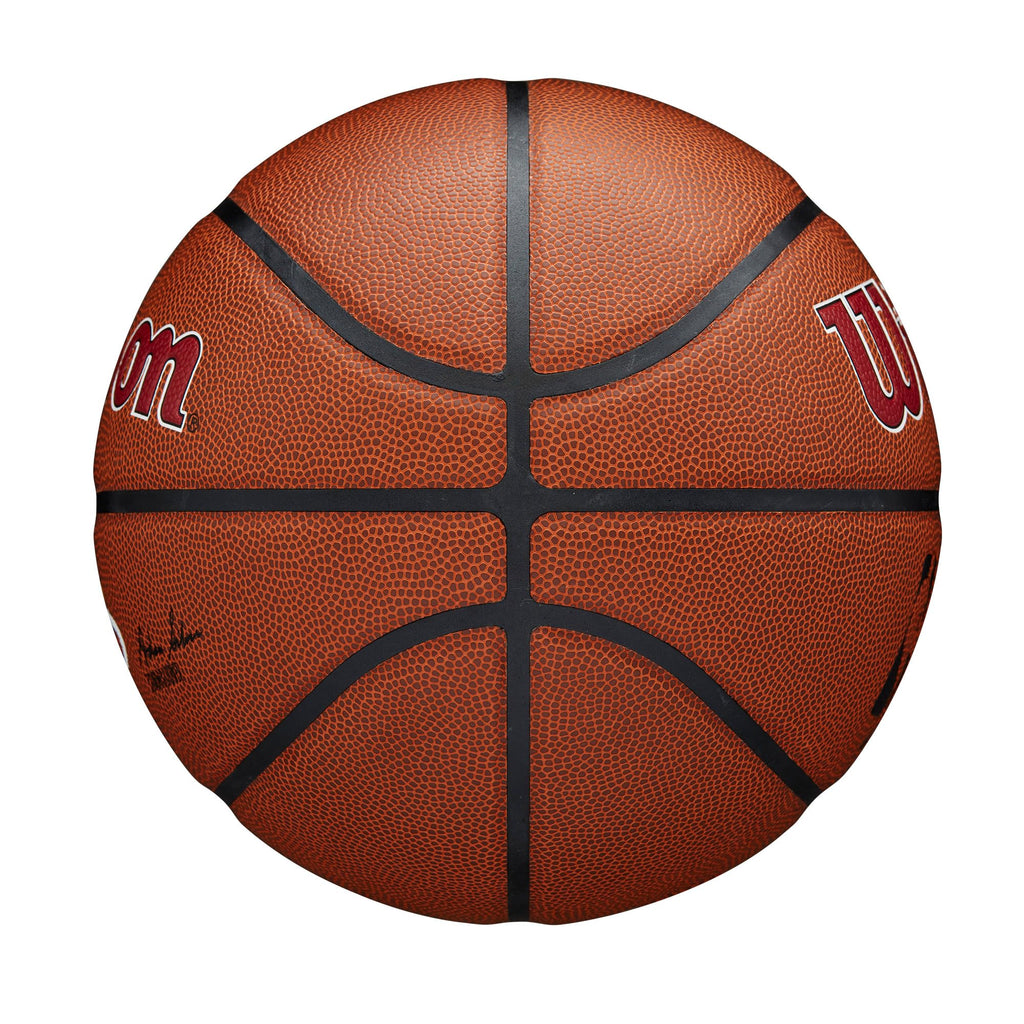 WILSON NBA Team Alliance Basketballs - Size 7-29.5"
