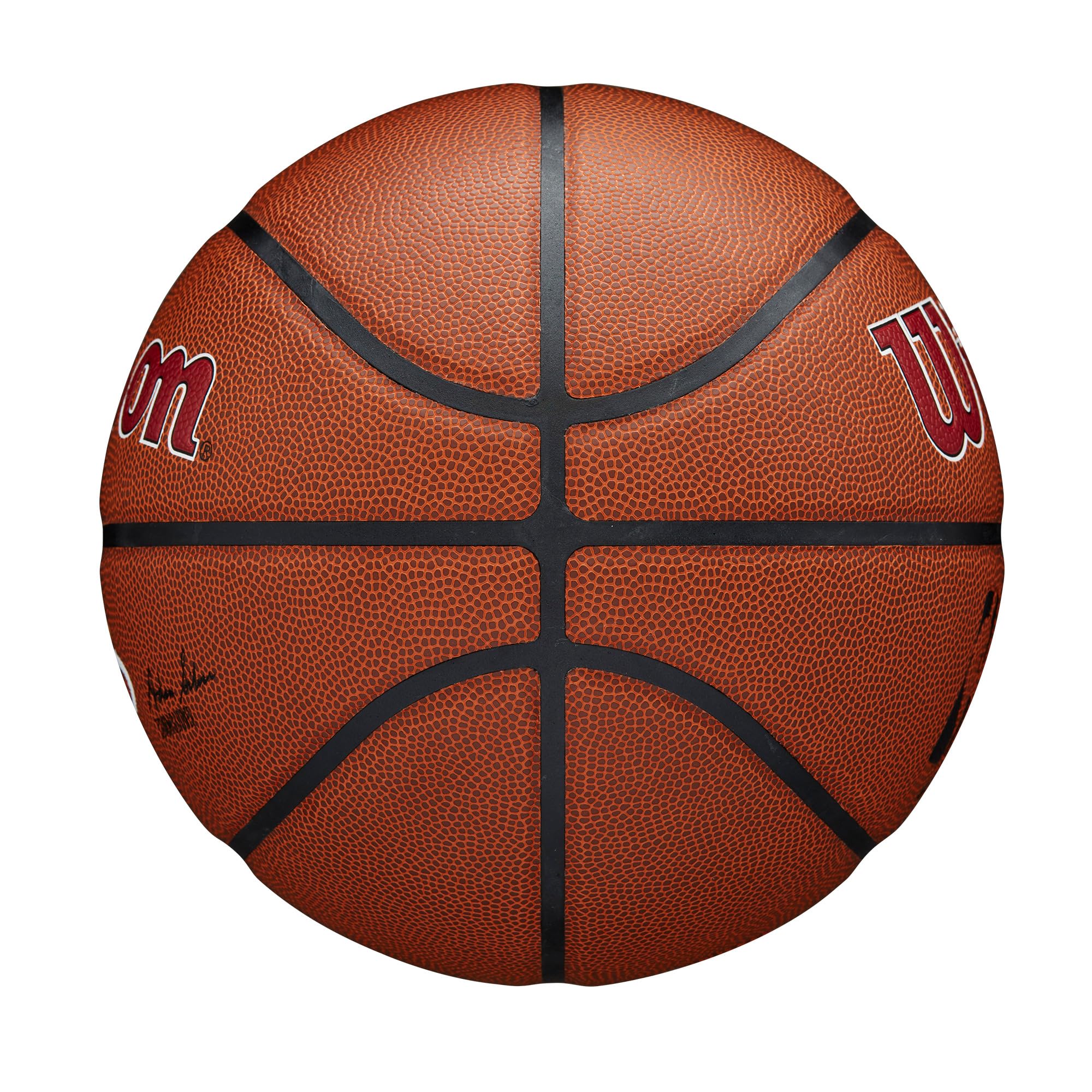 WILSON NBA Team Alliance Basketballs - Size 7-29.5"