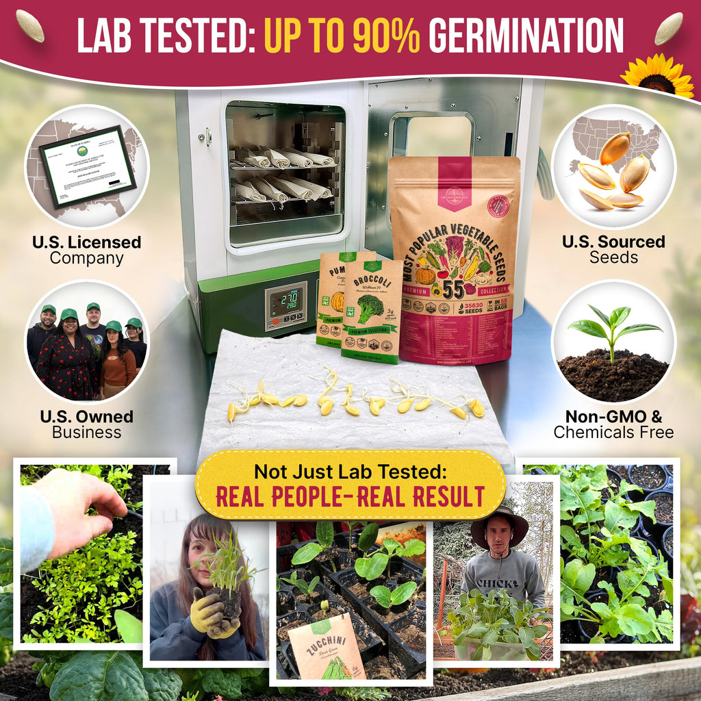 20 Vegetable Seeds Variety Pack - 12,465+ Non-GMO Heirloom Seeds for Planting Vegetables and Fruits in Individual Seed Packets, Home Garden Seed for Hydroponic, Indoor and Outdoors Gardening