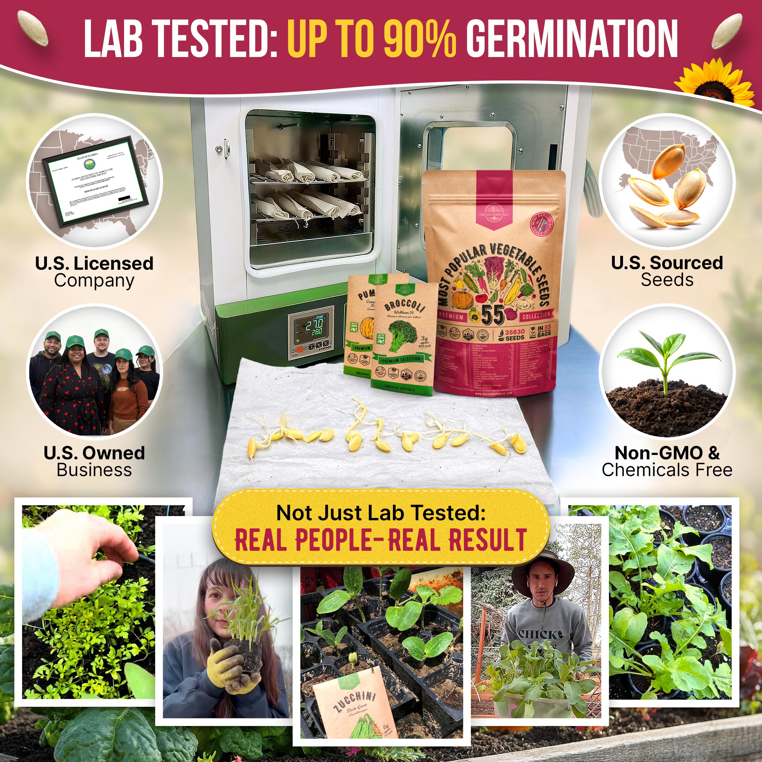 20 Vegetable Seeds Variety Pack - 12,465+ Non-GMO Heirloom Seeds for Planting Vegetables and Fruits in Individual Seed Packets, Home Garden Seed for Hydroponic, Indoor and Outdoors Gardening