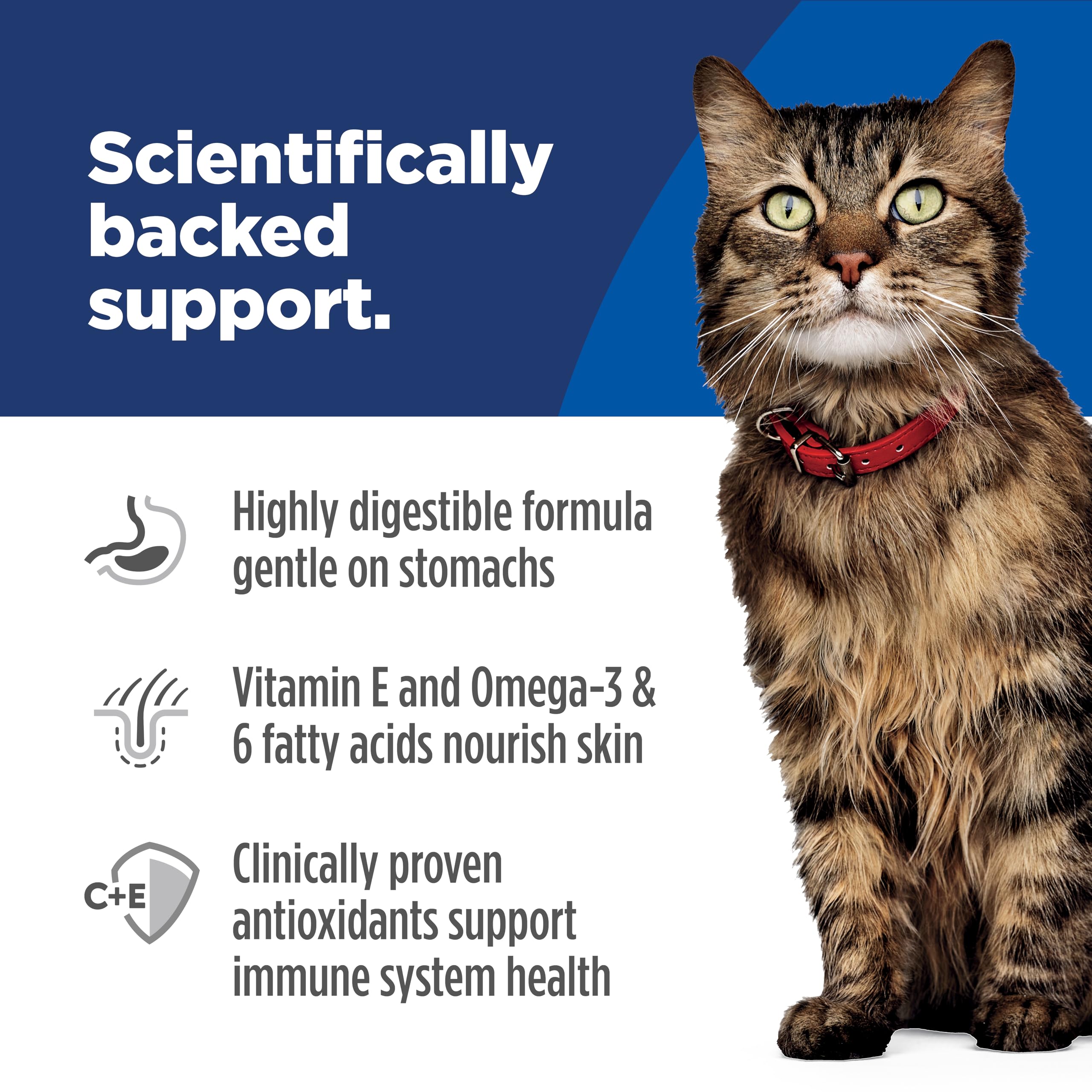 Hill's Science Diet Adult Sensitive Stomach & Skin Wet Cat Food, Chicken & Beef, 2.8 oz. Pouches, 24-Pack