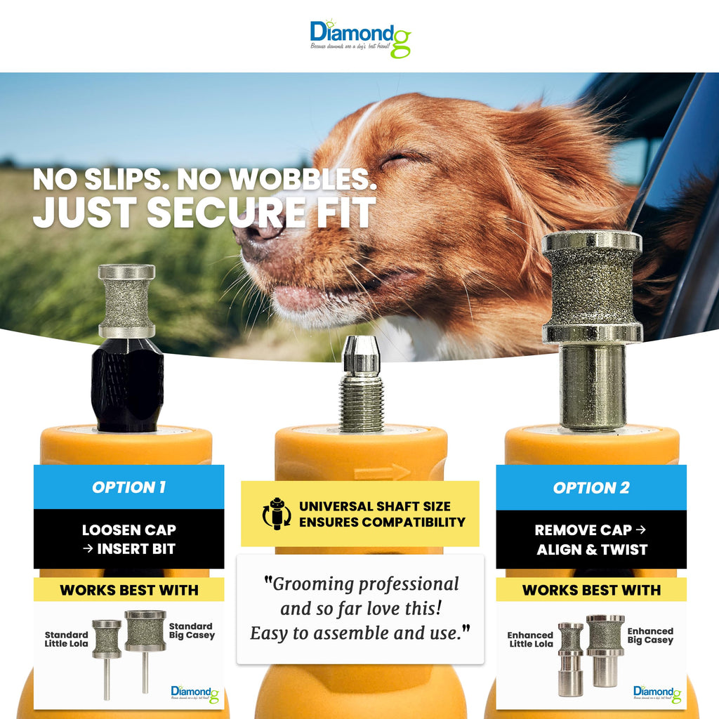 Diamondg Cordless Dog Nail Grinder with Quiet Sound & LED Tip for Large & Small Dogs, 4hrs. Runtime - Electric Dog Nail Trimmer, Heavy Duty Rotary Tool Alternative to Toenail Clippers & Filers
