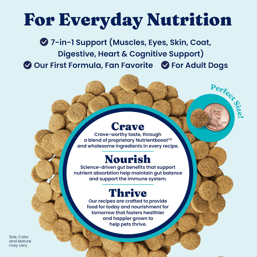 Solid Gold Toy & Small Breed Dry Dog Food Small Bites – Real Beef, Grain Free, Gluten Free, High Fiber Kibble with Probiotics for Gut Health & Digestion Support – Healthy Dog Food All Ages – 4LB