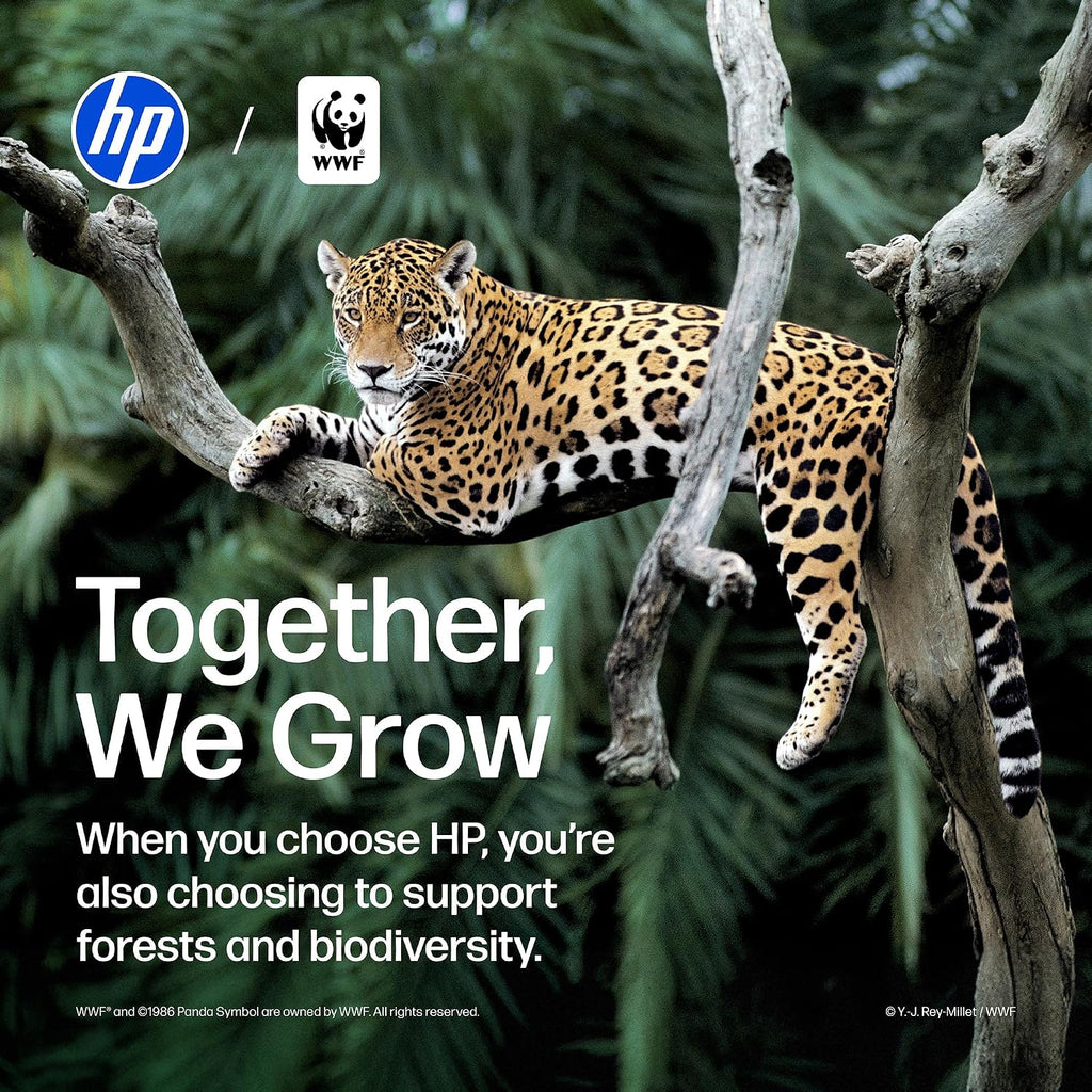 HP DeskJet 2955 All-in-One Printer - Black