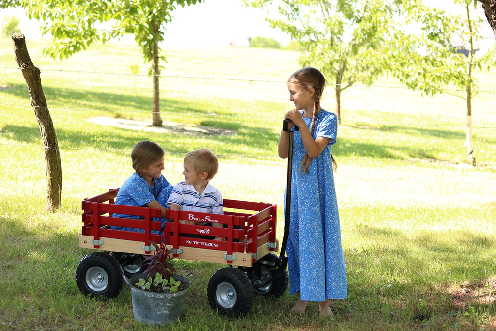 Berlin Flyer Sport Wagon - Model F410 - Amish Made in Ohio, USA - 10" No-Flat Tires (Blue)