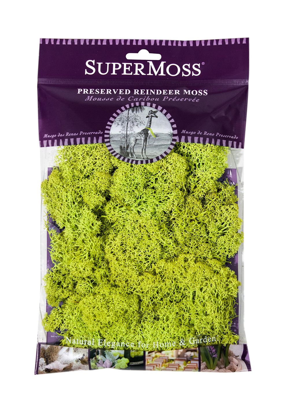 SuperMoss 21786 Reindeer Moss Preserved Black, Appx. 3 lb Bulk Case